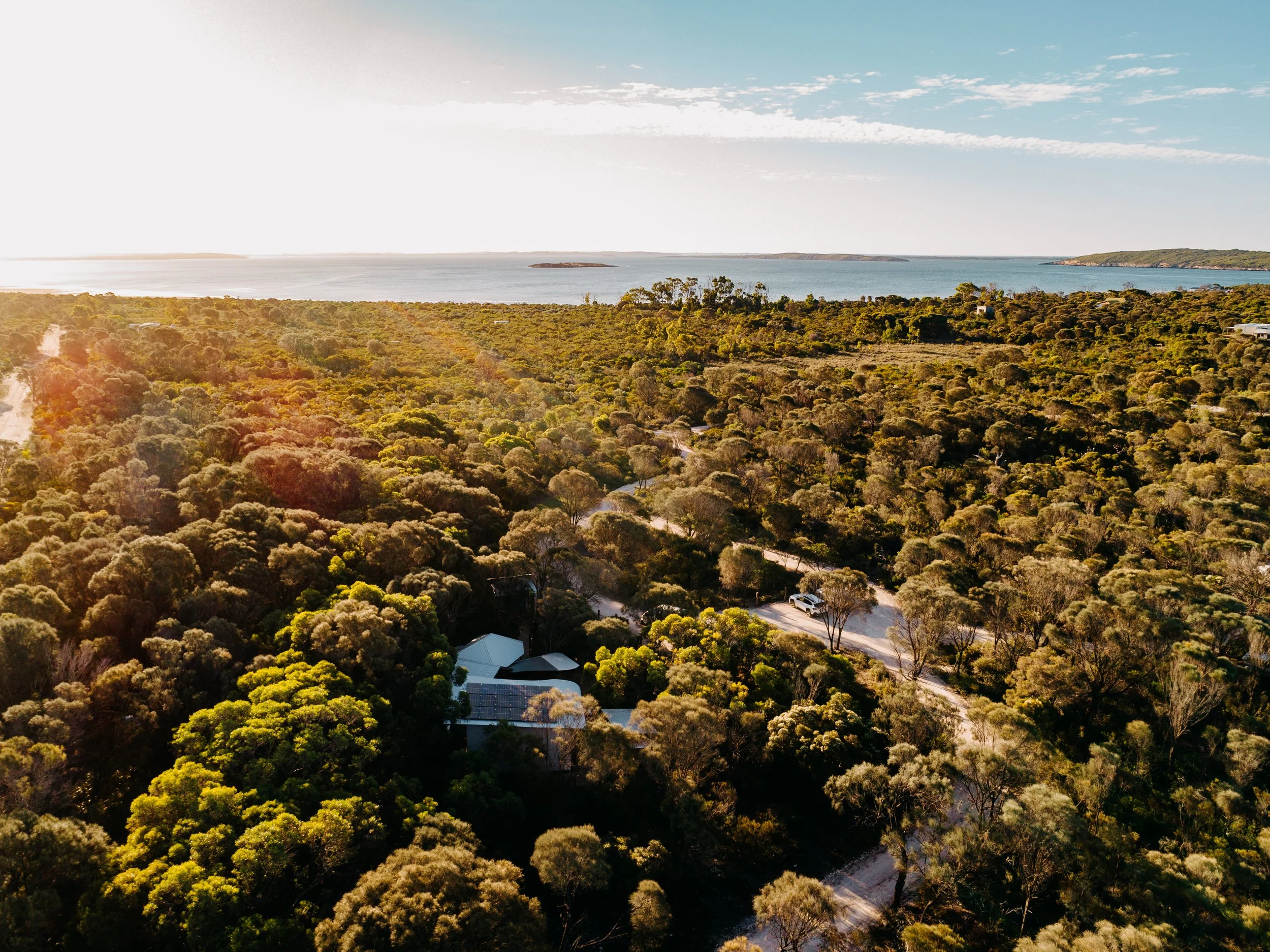 Restoring 28 Hectares – One Tree at a Time