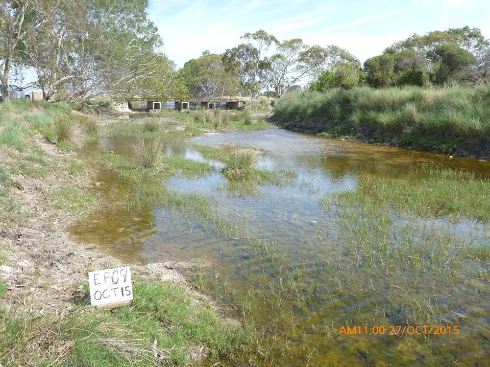 Restoring the Health of Minniribbie Creek