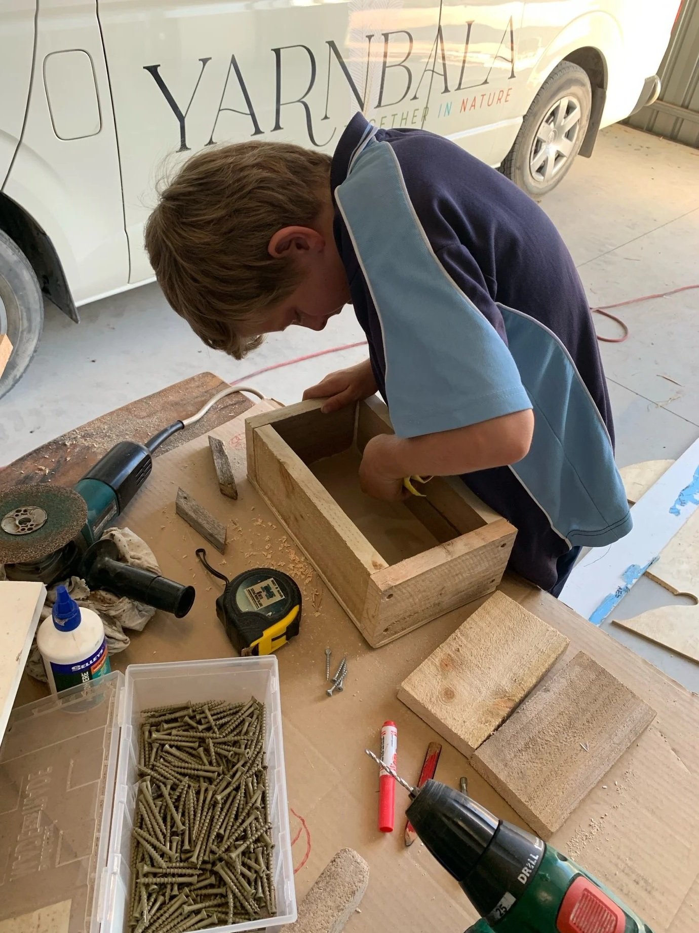Arj making a Western Pygmy Possum box