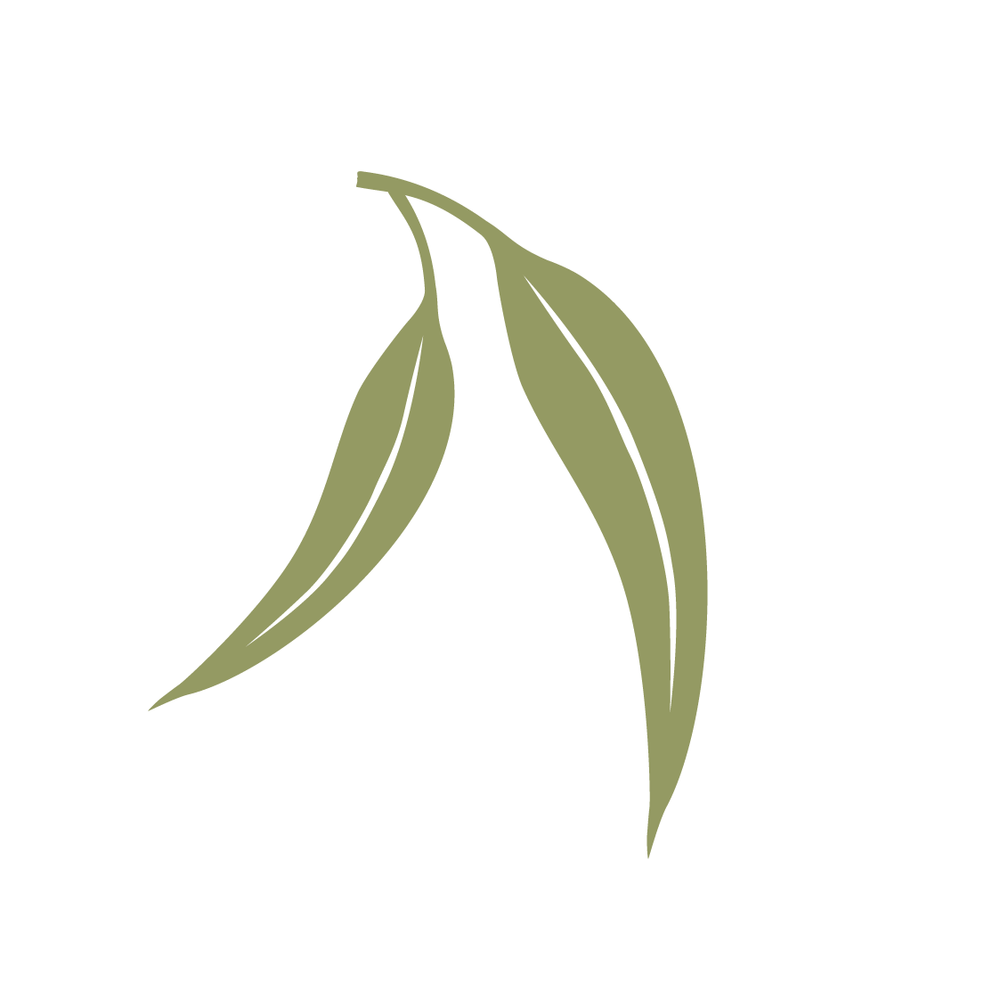 Illustration of three green leaves with a central stem, varying in size and shape, on a black background.