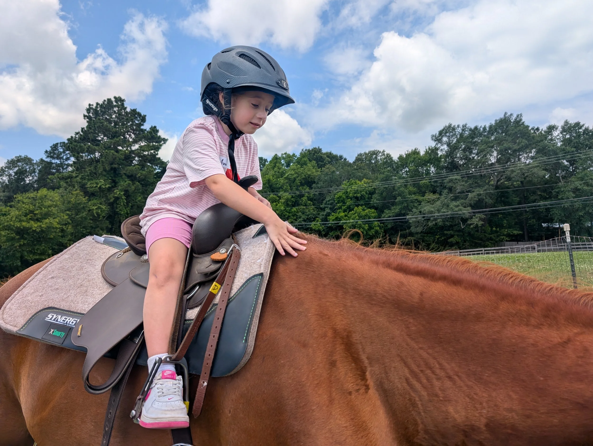 Young girl sitting on a horse