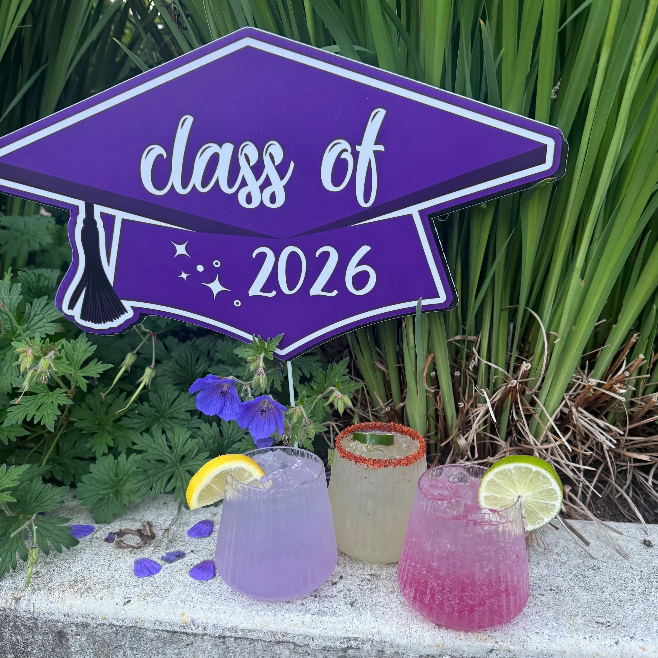 Three refreshing cocktails for a high school or college graduation.