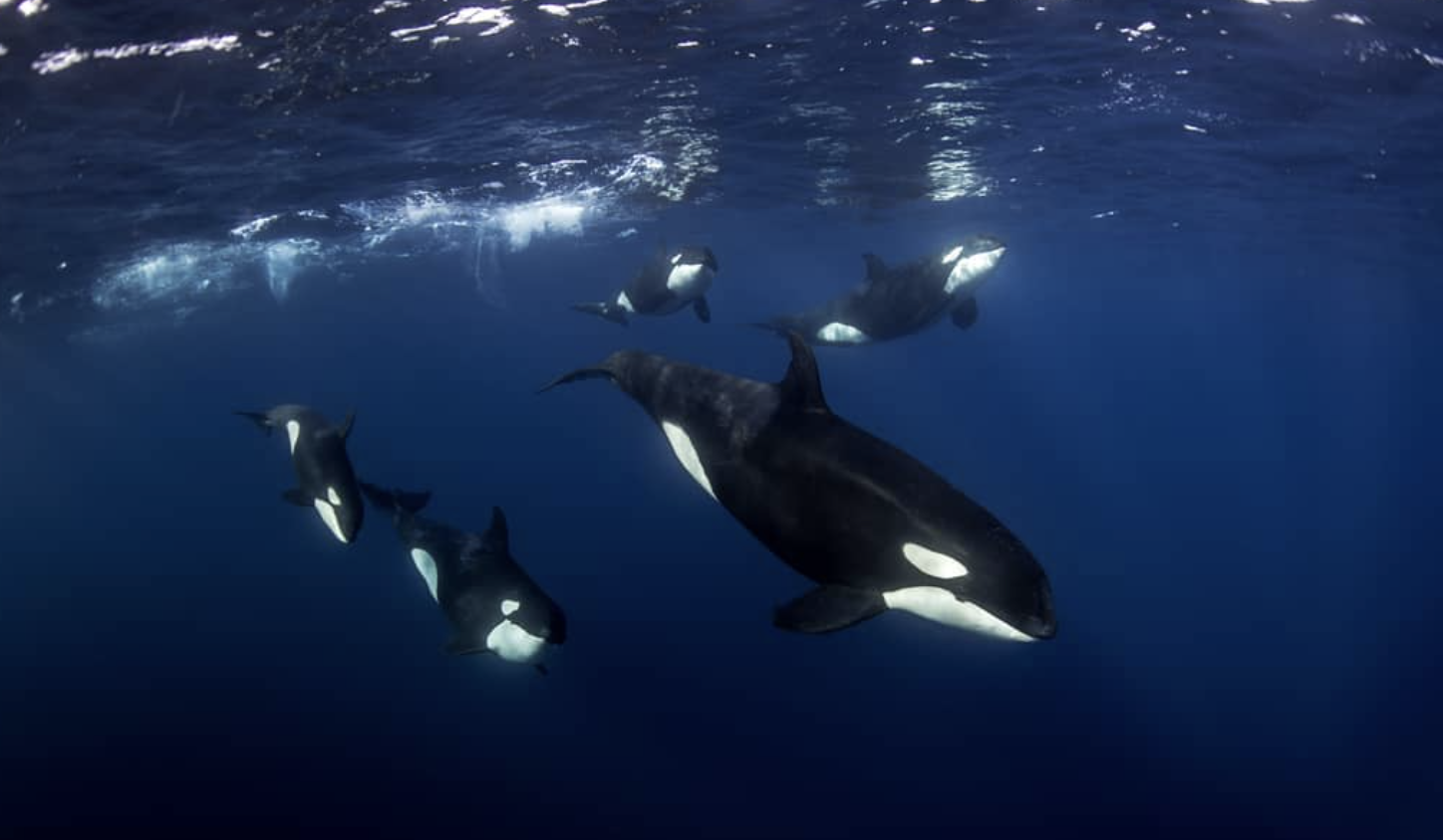 Captura de pantalla 2024-04-09 a las 8.05.53.png