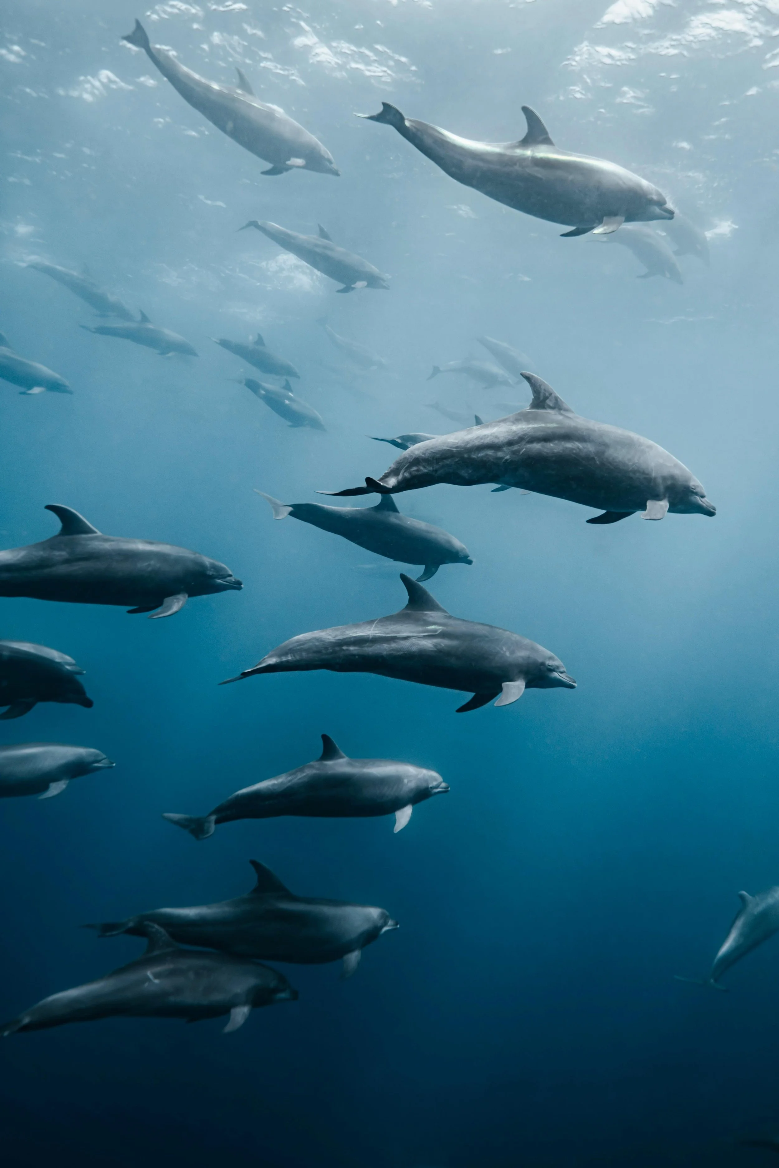 5ff1e33f-a981-4251-a6d1-3cd0e11b72ba 2.JPG