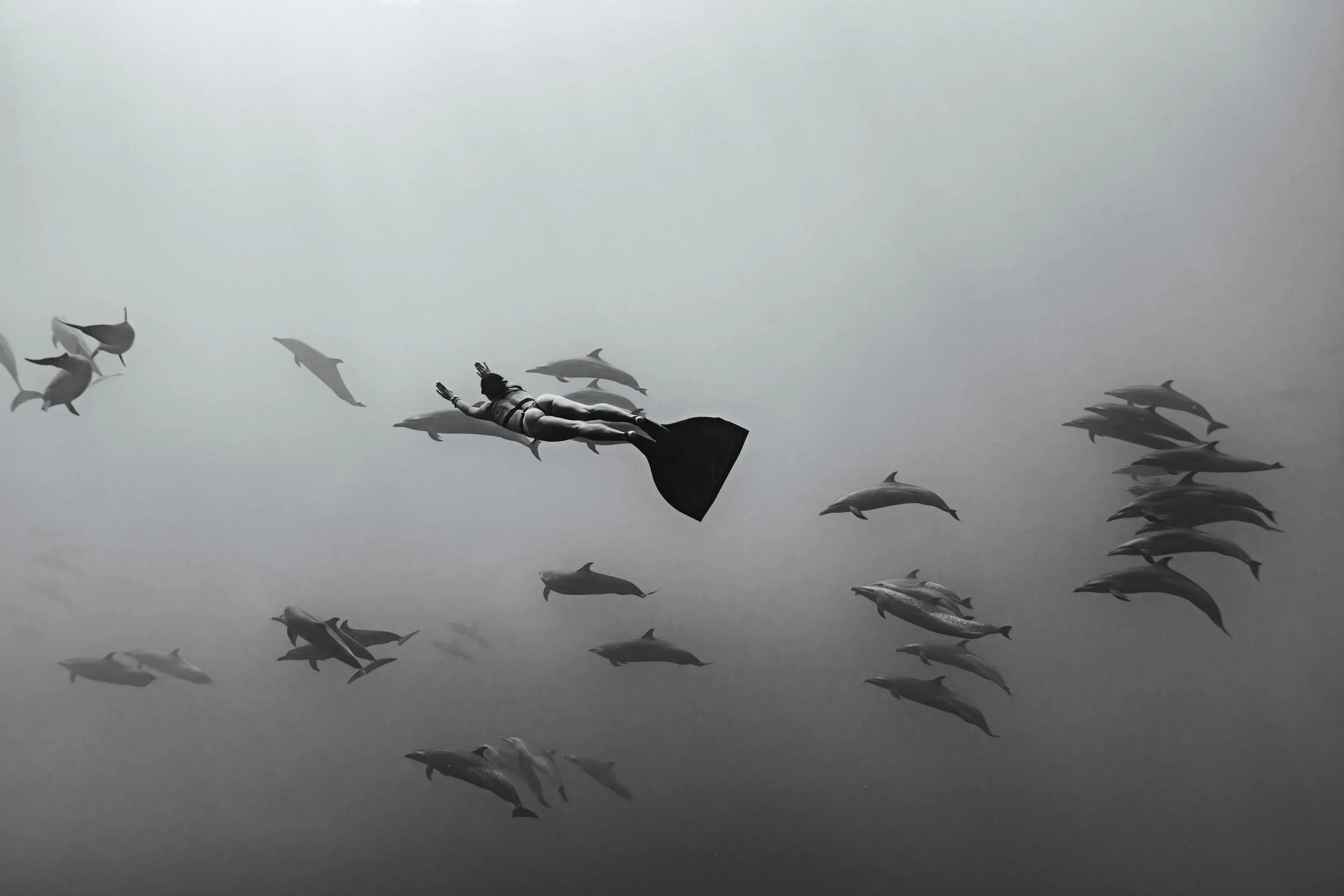 WhatsApp Image 2025-07-03 at 18.12.30.jpeg