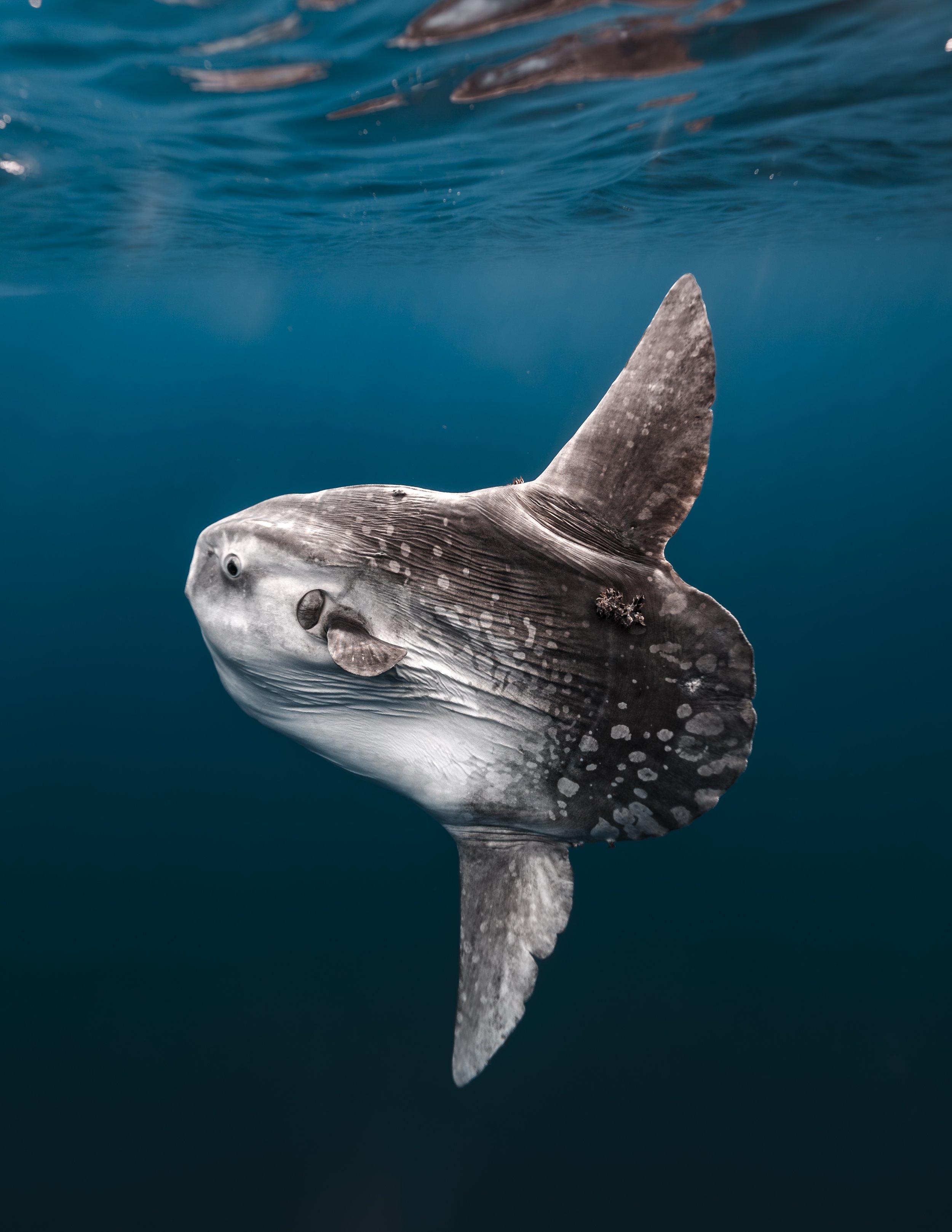 DSC01092-Enhanced-NR 2.JPG