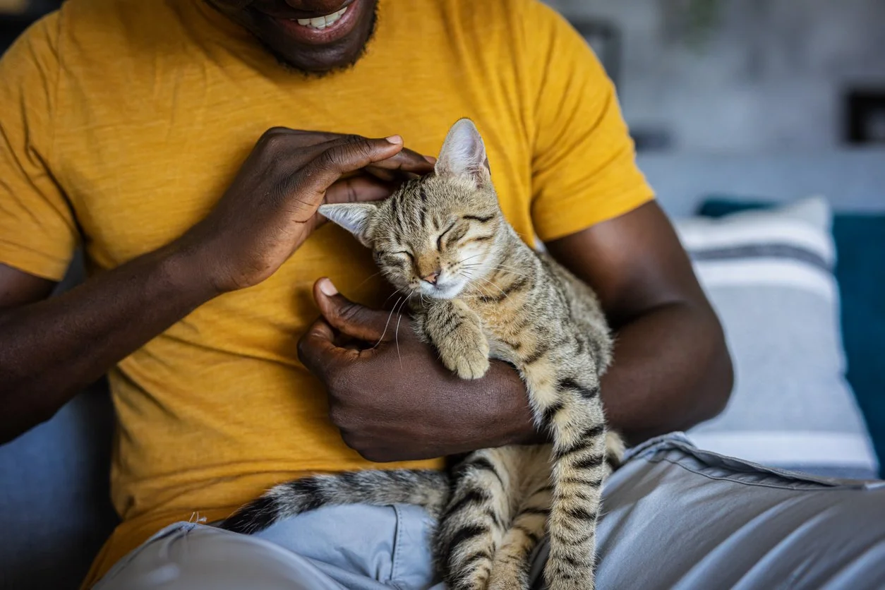 How Hormones Impact Your Pet’s Health