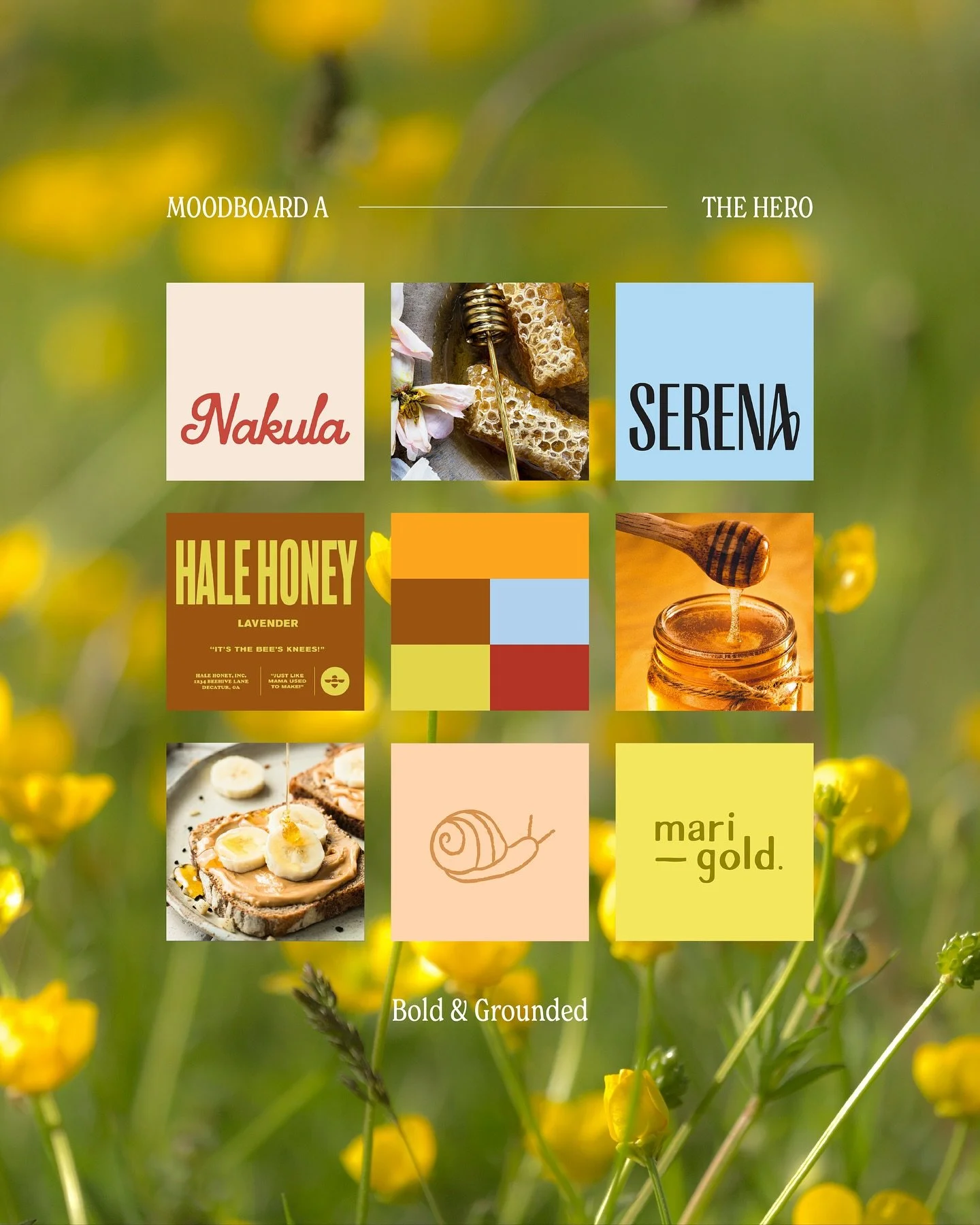moodboards for SOLARA 🍯🫶🏻💫

absolutely loving this brief so far + can&rsquo;t decide which direction to move forward with!!! vote for you favorite and let me know what you think 🤍

brief by @readysetbrief #readysetbrief #rsbsolara #rsbsl