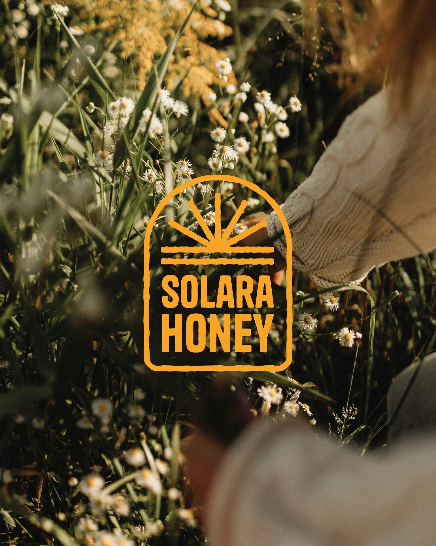 Meet SOLARA 🍯💫 an artisanal honey brand offering small-batch wildflower honey for individuals that value slow living + conscious consumption 🌎🫶🏻

💌 Such a fun brief by @readysetbrief #readysetbrief #rsbsolara #rsbsl
