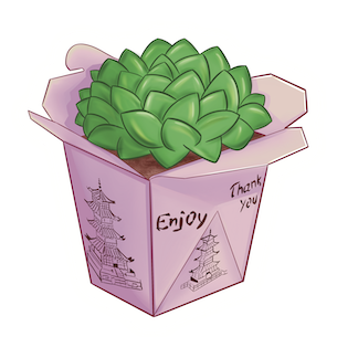 Succelent_Chinese_Meal.png