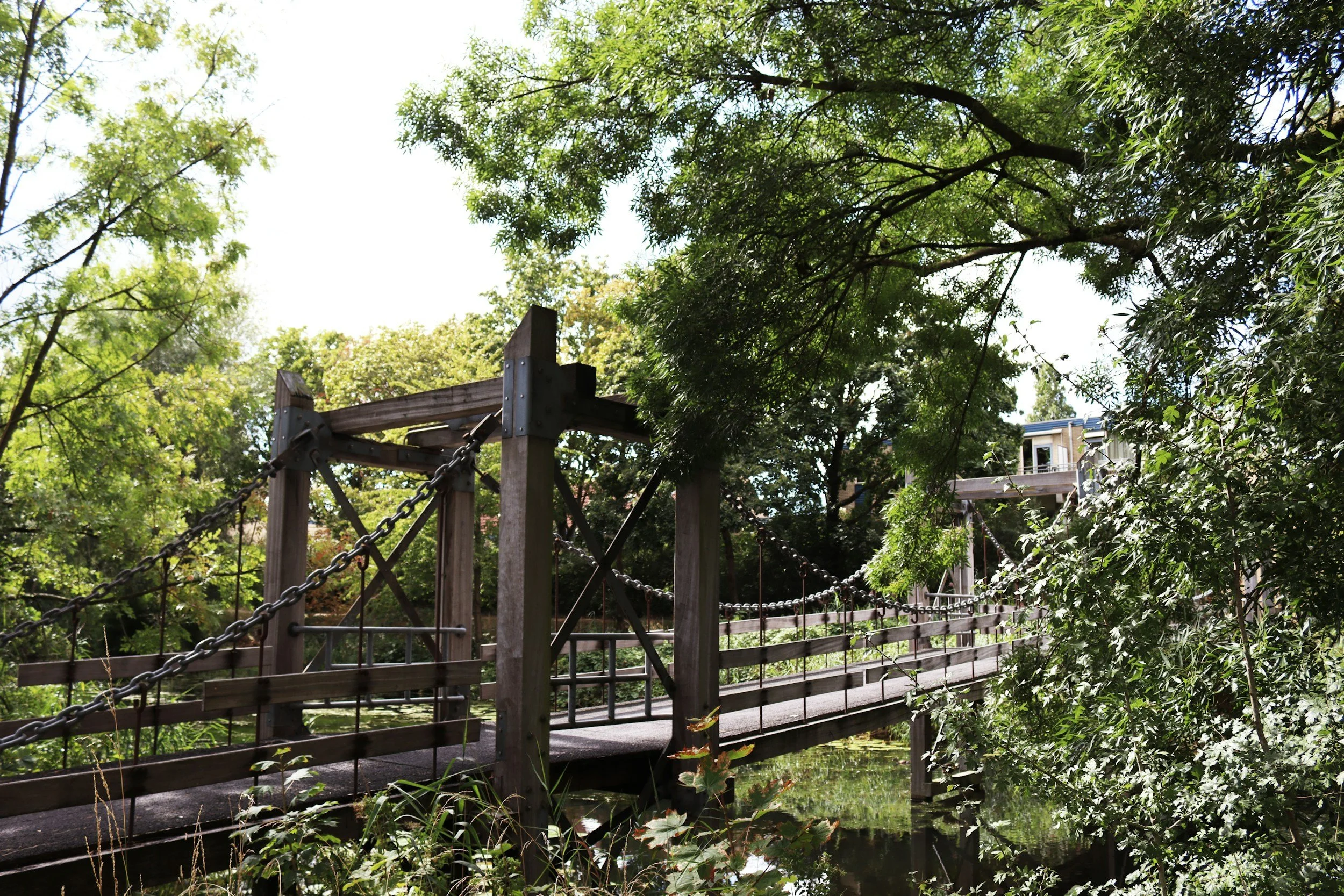 A wooden bridge over a forested ravine.