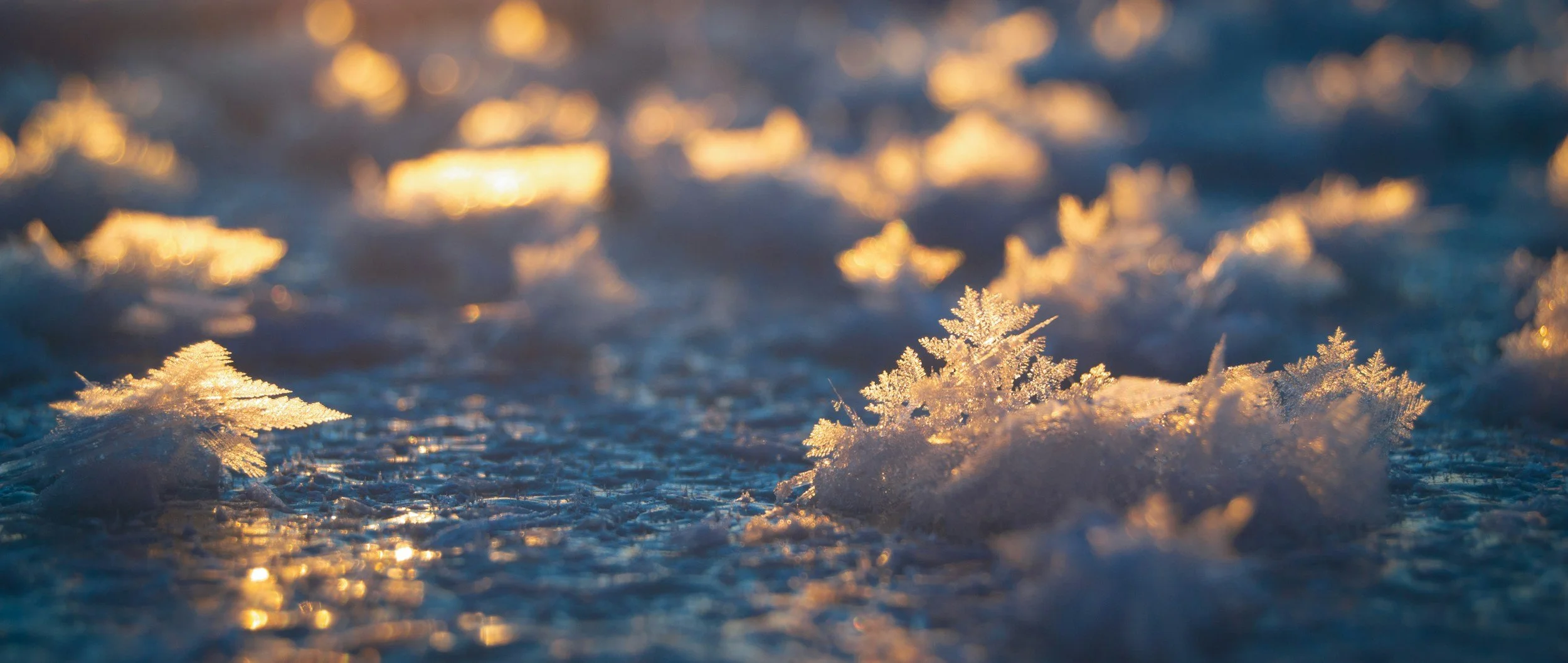 A closeup image of snowflake crystals.