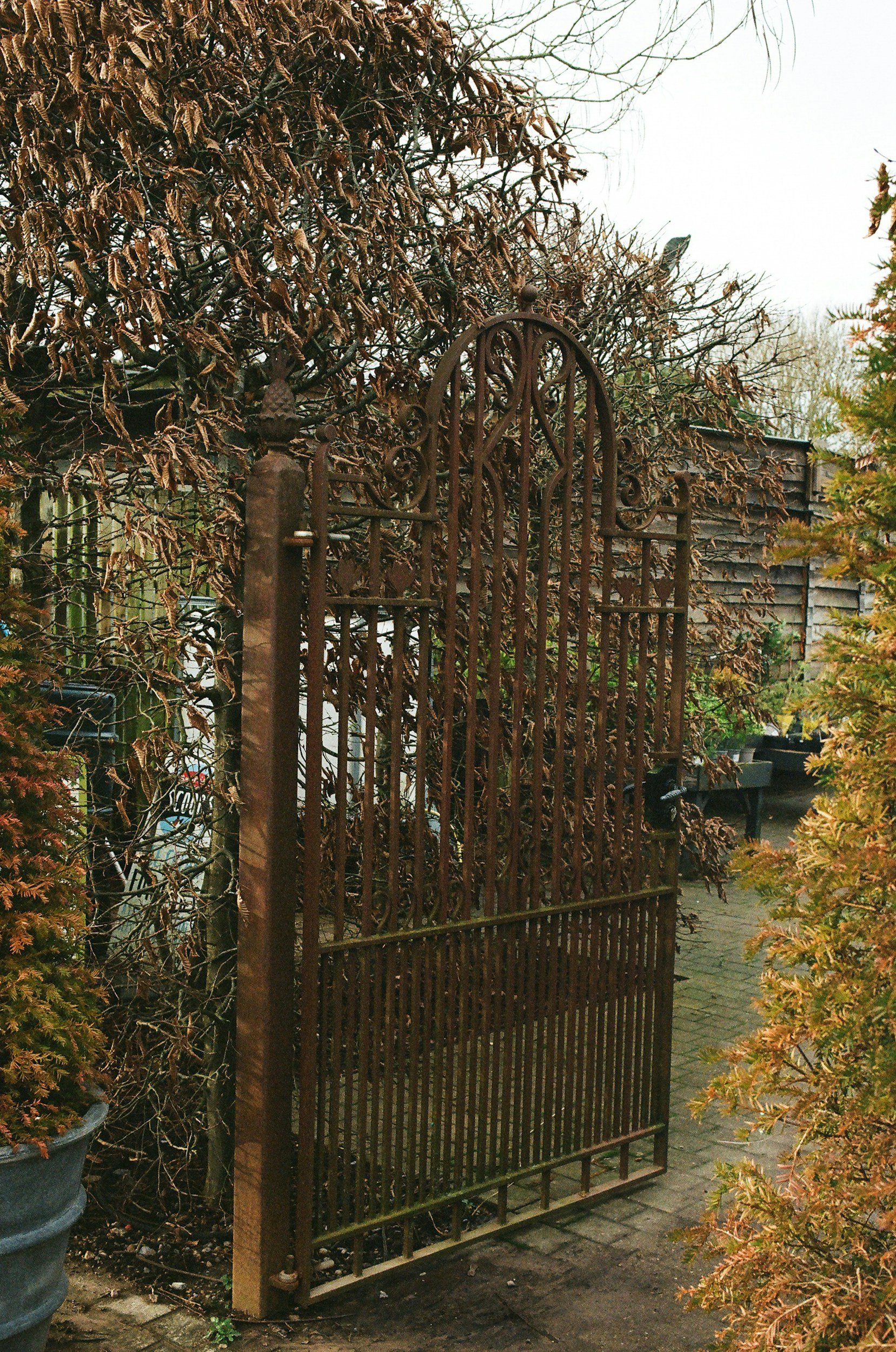 An open garden gate.