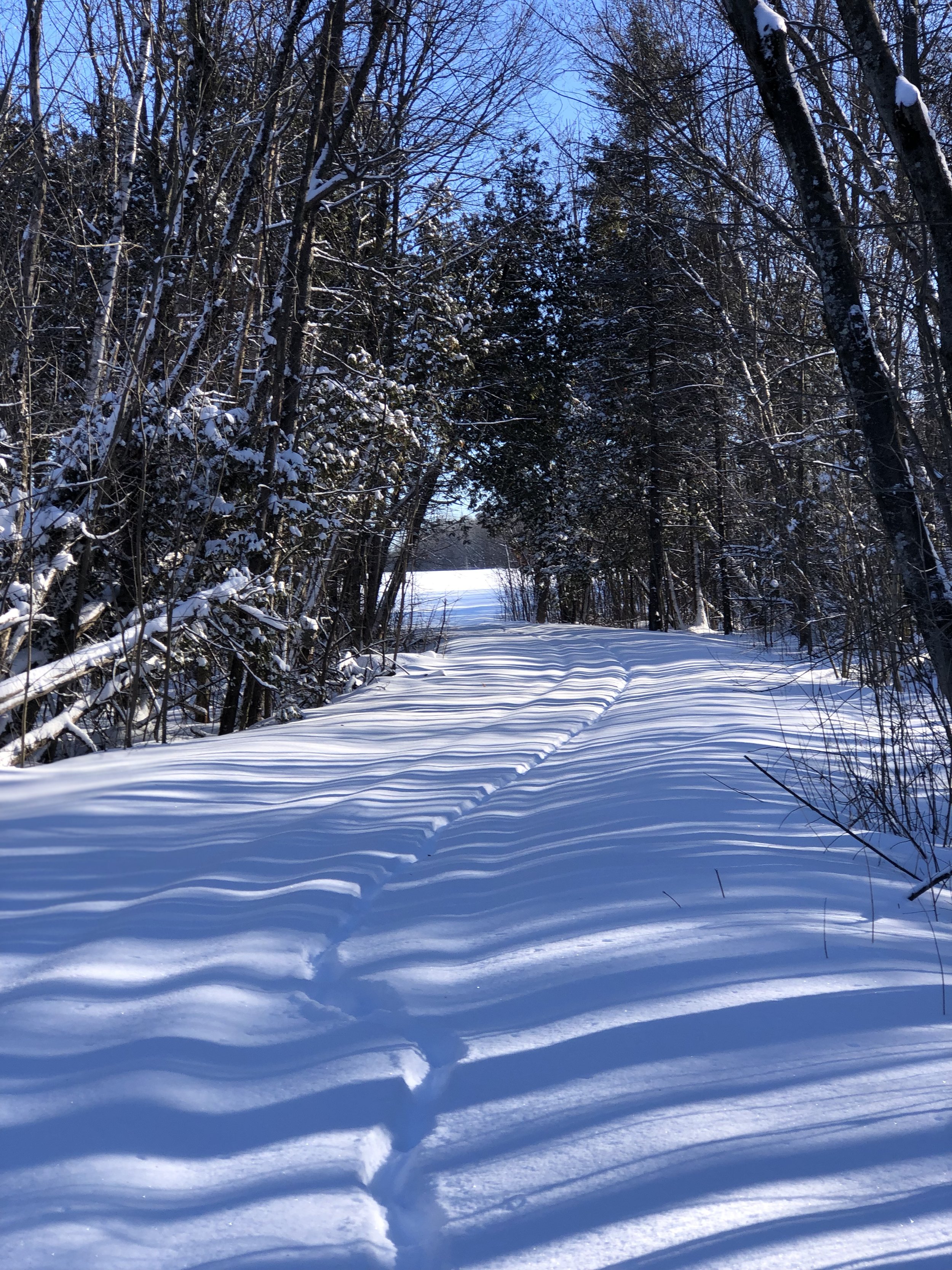 L’hiver à la ferme | Planifier la nouvelle saison