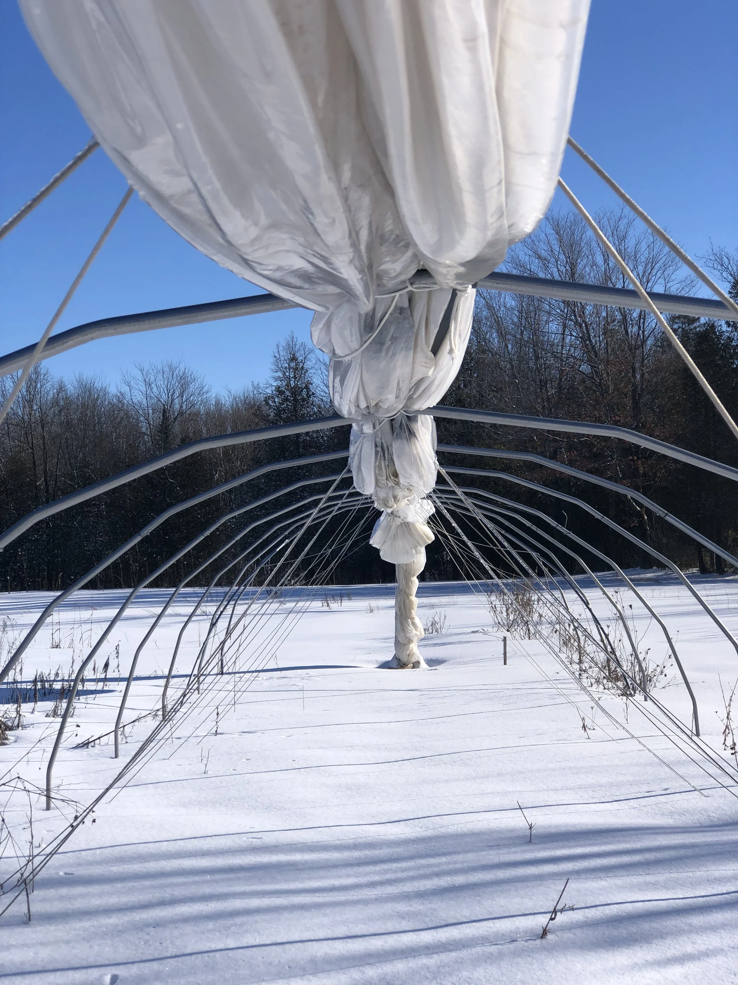 L’hiver à la ferme | Le mois de mars