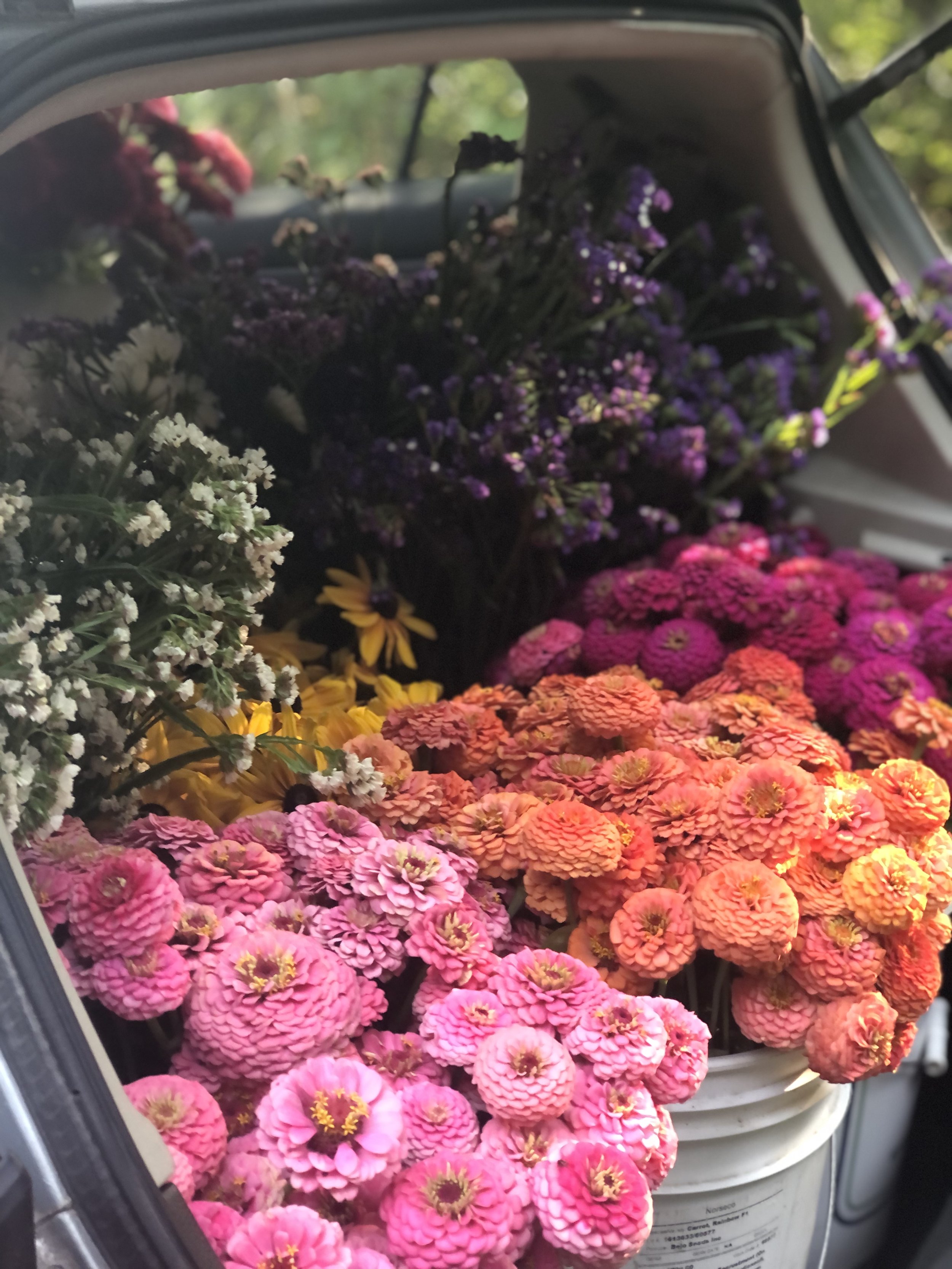 A7B79DB0-BC13-4CE9-B0F5-78C6030056B6_1_201_a.jpeg