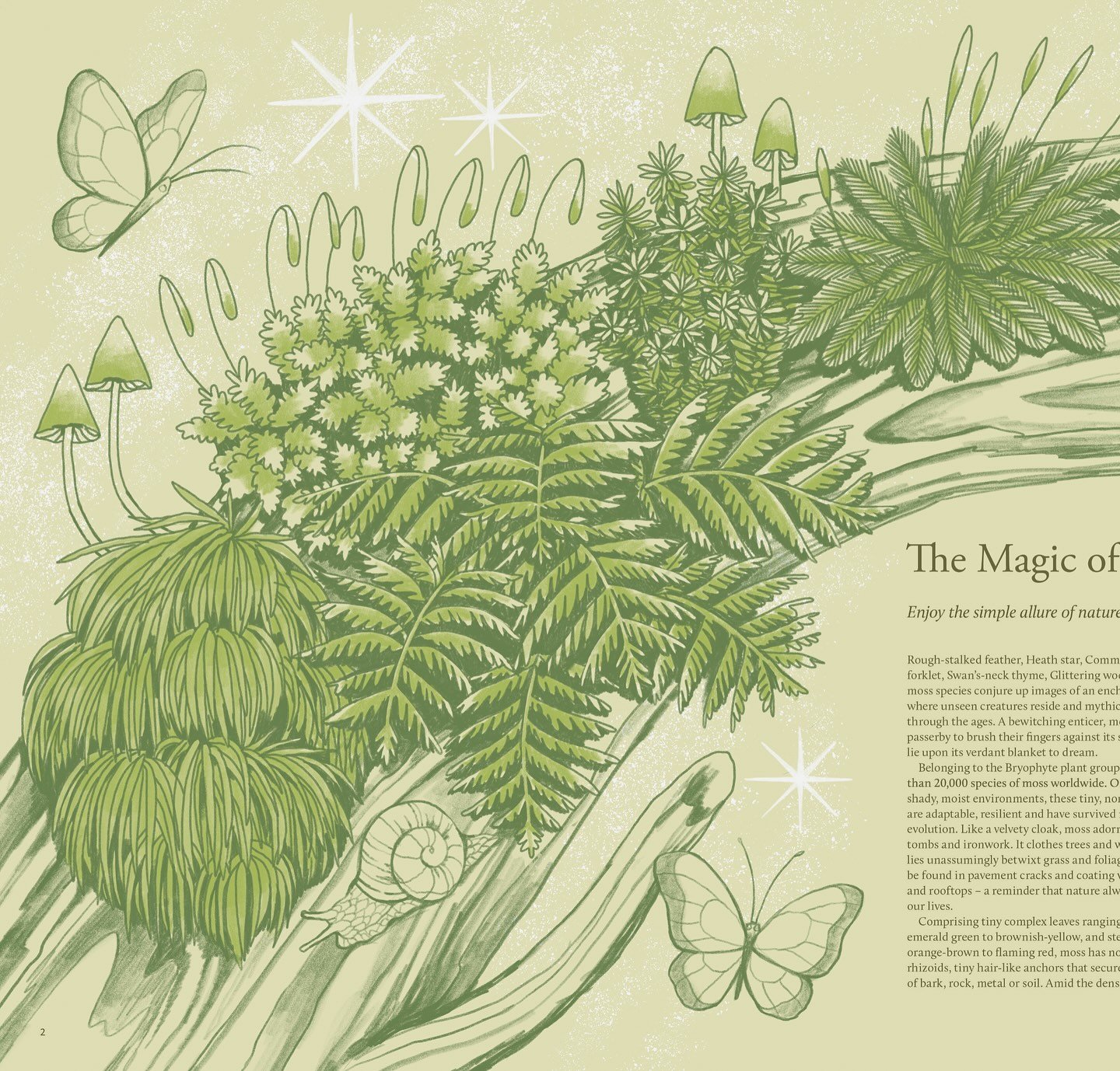 an illustration i made for @justbreathemagazine about the Magic of Moss. My first editorial work published in the UK! thanks to Art Director Jonathan Grogan for the project 🌱🍄&zwj;🟫🌞
.
.
.
#illustrator #freelanceillustrator #editorialillustration