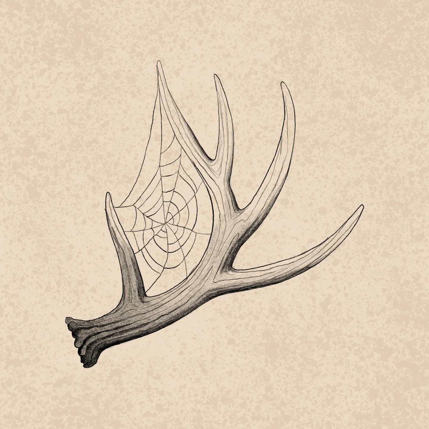 antler flash design available. let me know if you'd like to claim this for you body💫
.
.
.
#flashdesign #tattooing #fineline #milwaukeetattooartist