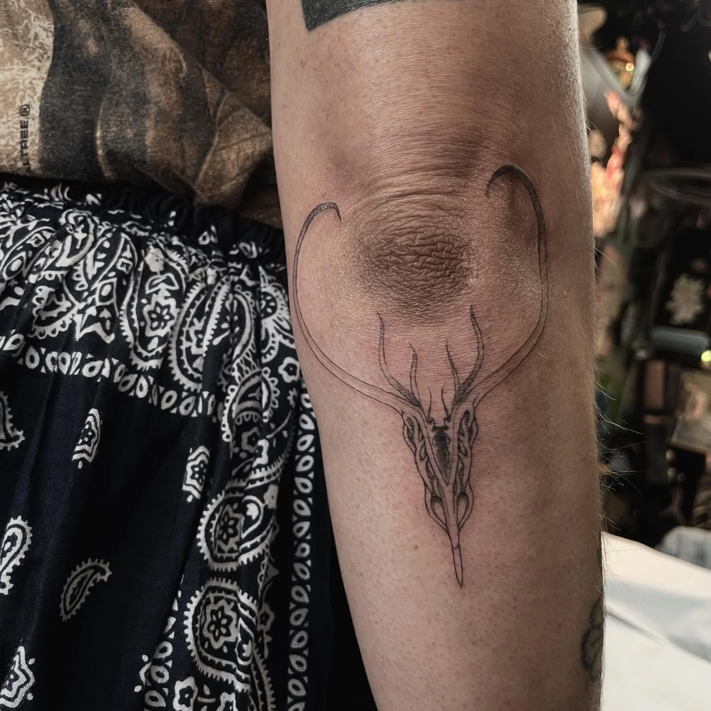 a devils claw seed pod for @clairaclairvoyant ! and she brought me one to keep 🥲 thank you, these things are so cool!🤗
.
.
.
.
.
#devilsclaw #botanicaltattoo #botanicalart #finelinetattoos #milwaukeetattoo #wisconsintattooartist #midwesttattoo