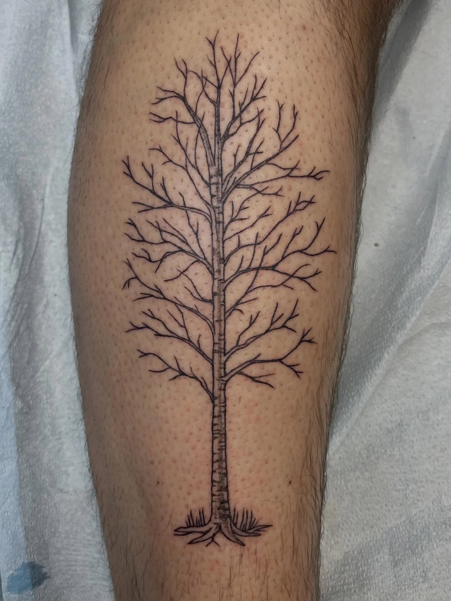 birch tree for Mitch. Thanks Mitch!
#tattoo #milwaukeetattoo #milwaukeetattooartist