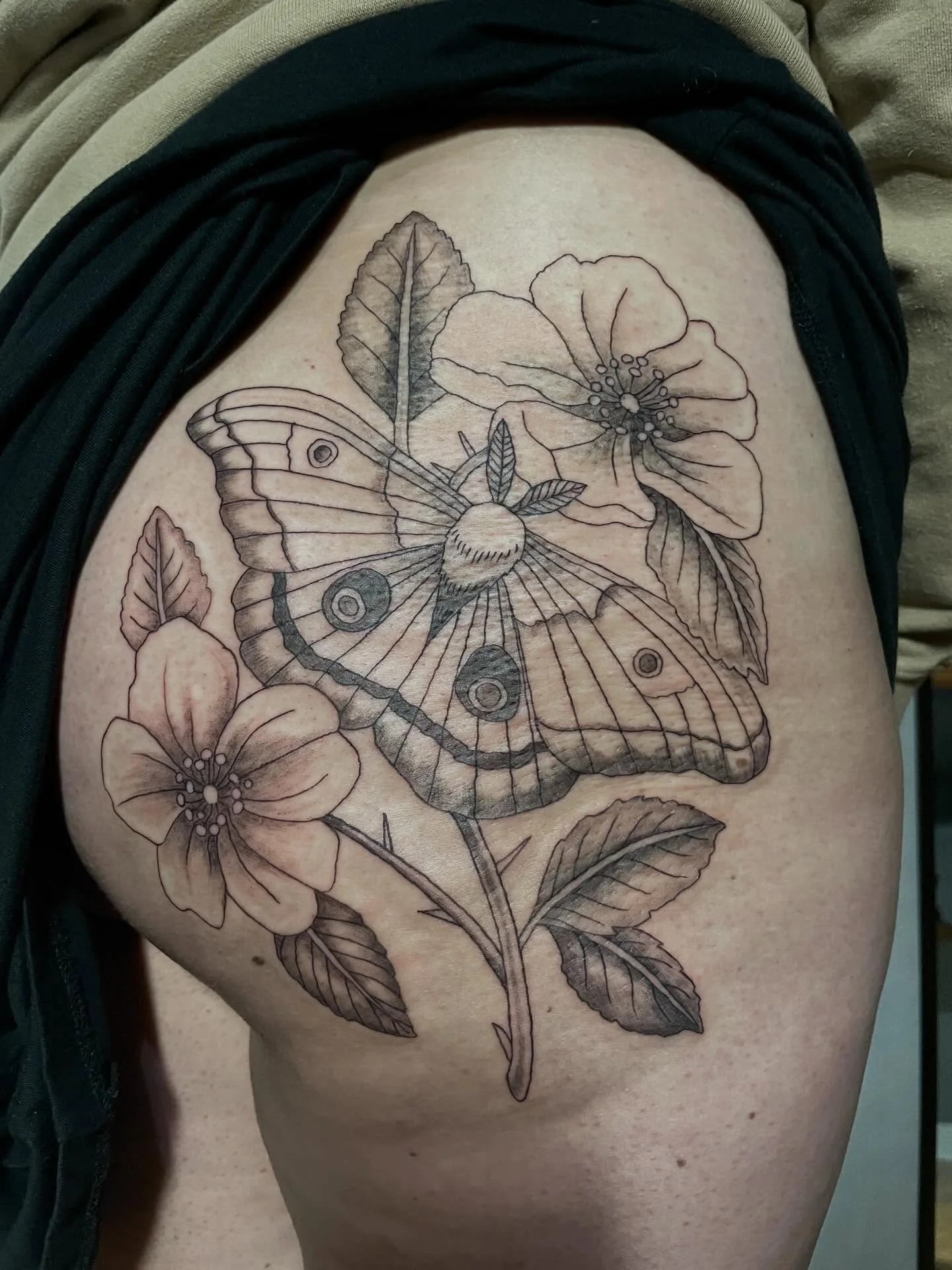 custom moth and wild roses. Thank you Rachel! loved working on this

.
.
#milwaukeetattoo #mothtattoo #customtattoo #blackandgreytattoo