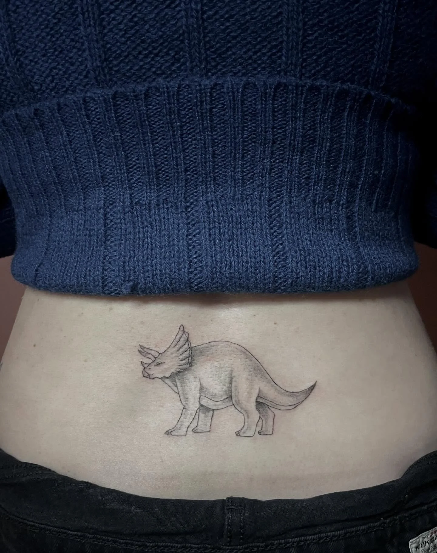 triceratops for Sarah with some soft shading 💕 made at @riverwesttattooco 
.
.
.
#dinosaurtattoo #dinotattoo #milwaukeetattoo #wisconsintattooartist