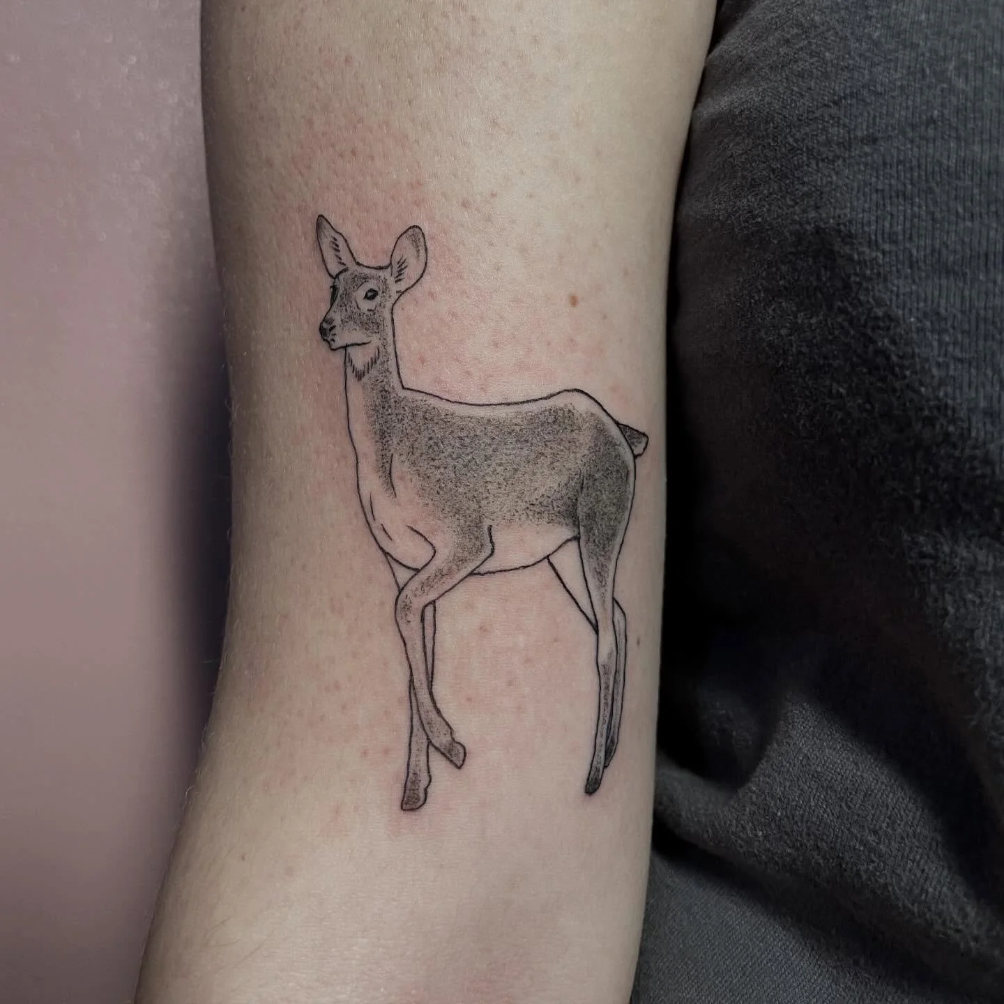 a doe for Sylvie 💖 thank you Sylvie!
.
.
.
#deertattoo #milwaukeetattooartist #finelinetattoos #blackandgreytattoo #qttr