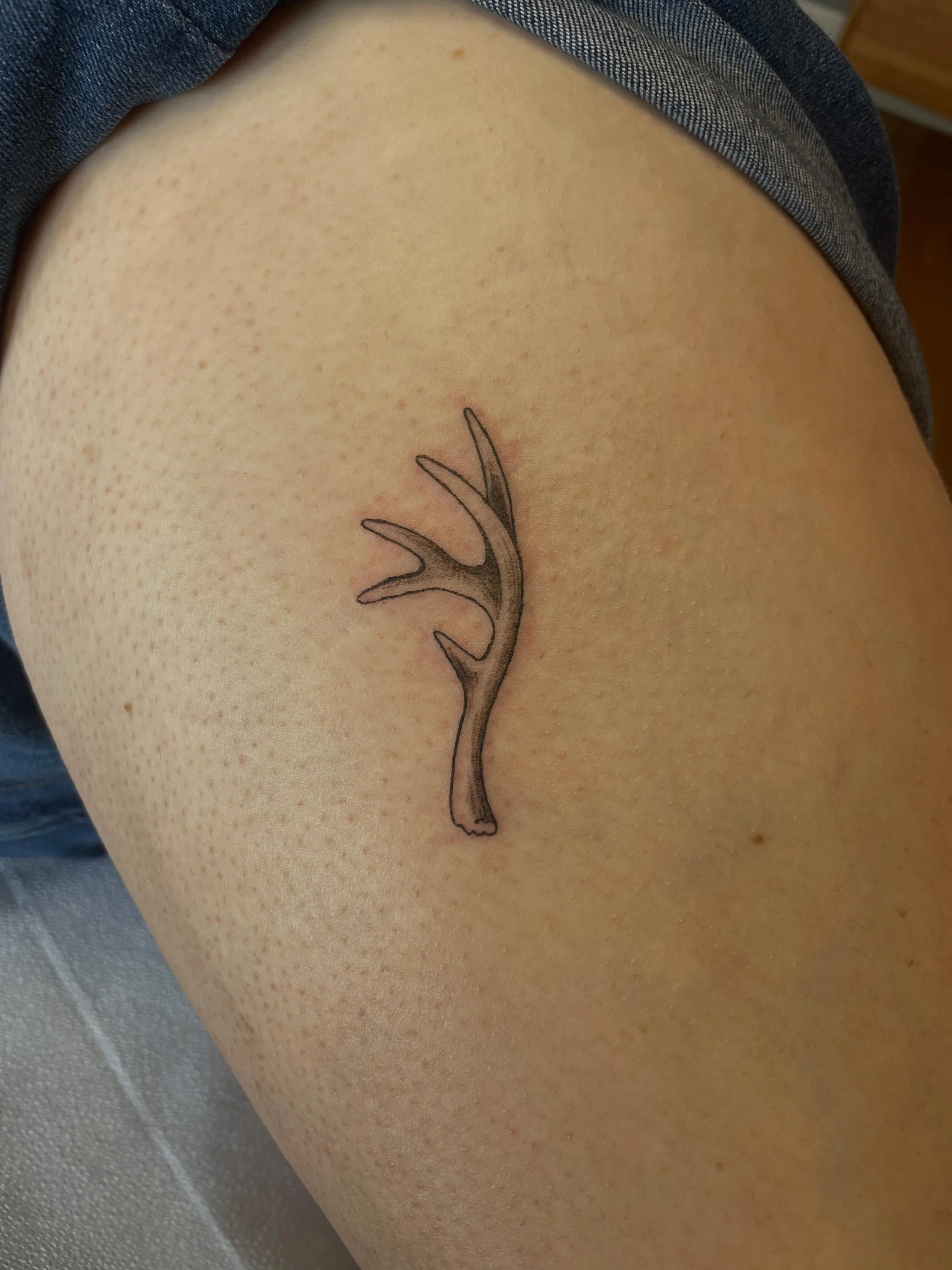 little antler from my repeatable flash ✨ thank you Beth!
.
.
.
.
#milwaukeetattoo #antlertattoo #wisconsintattooartist #naturetattoo