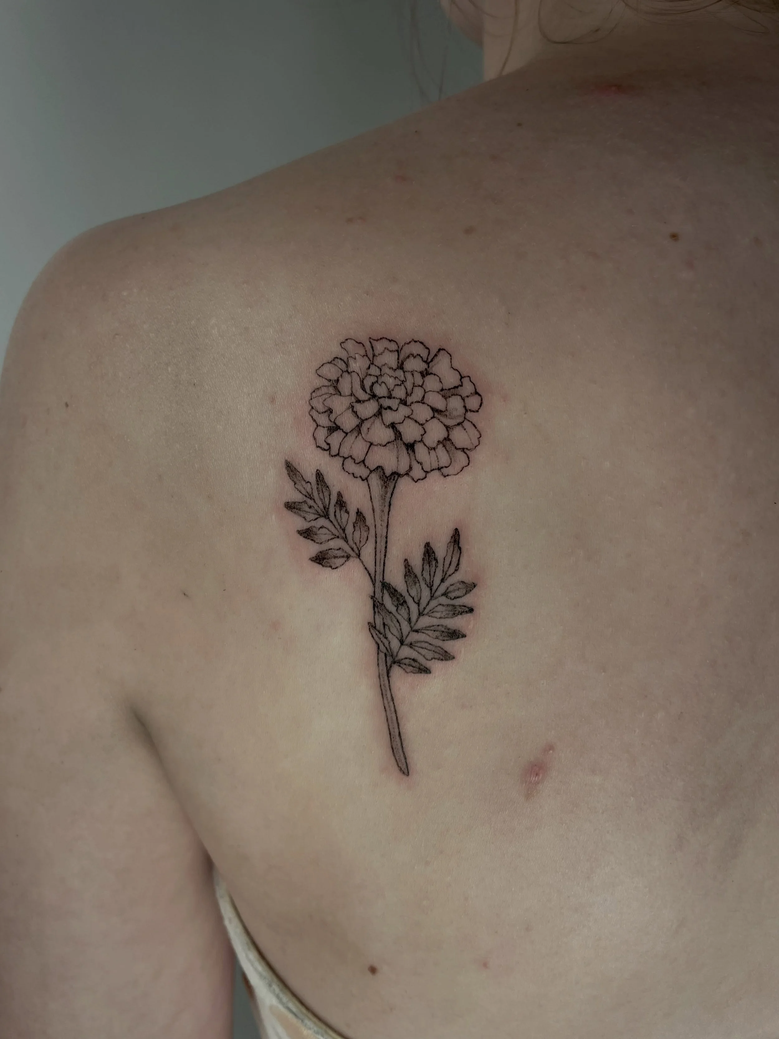 Thank you Erin!
.
.
.
.
#marigoldtattoo #coastlinesfinest #milwaukeetattoo #floraltattoos