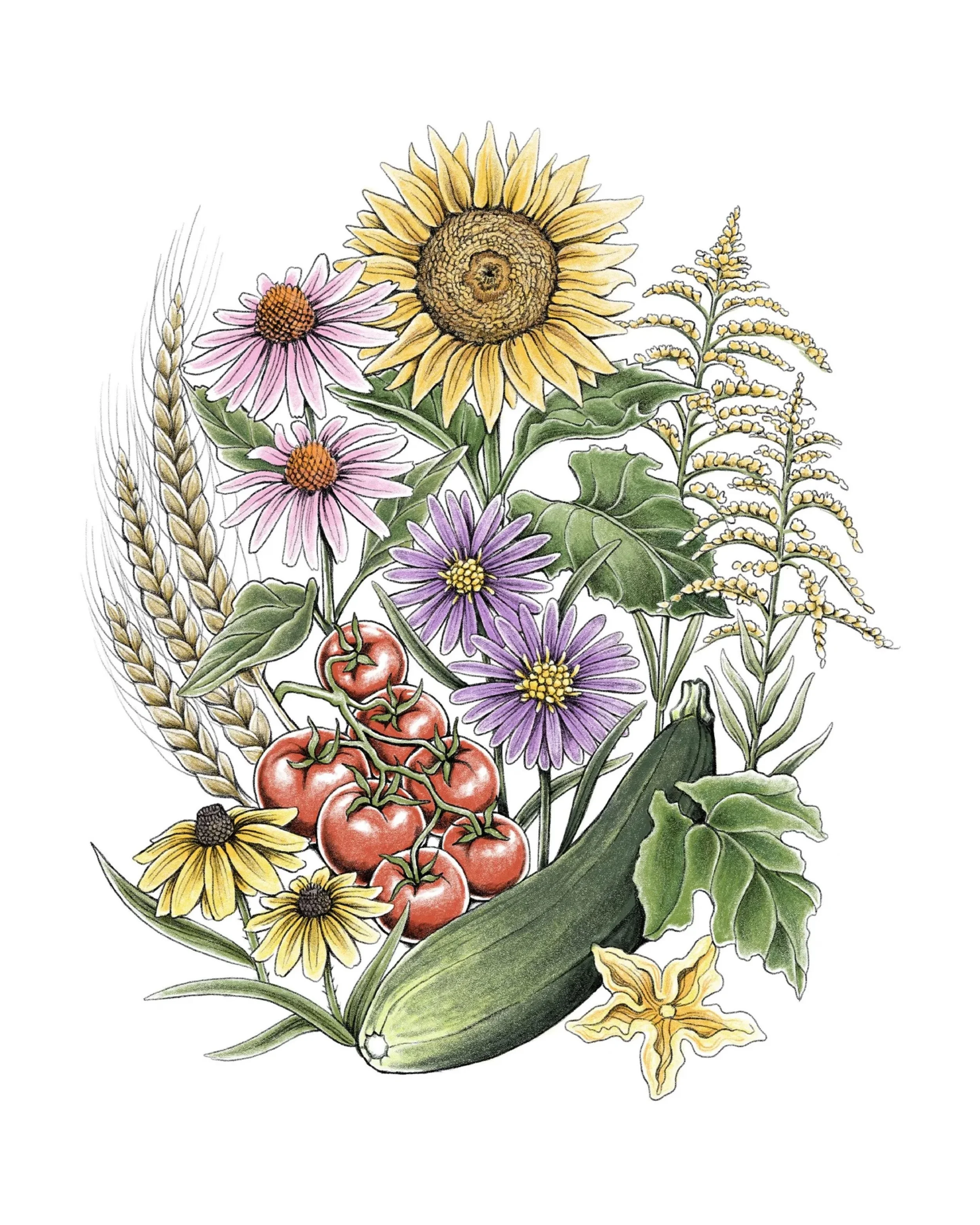 happy aug first and Lughnasadh! .Today marks the beginning of autumn and the first grain harvest, named after the Celtic god Lugh, celbrating harvest, gratitude for abundance, and preparing for the darker half of the year.

Here is one of the 8 chapt