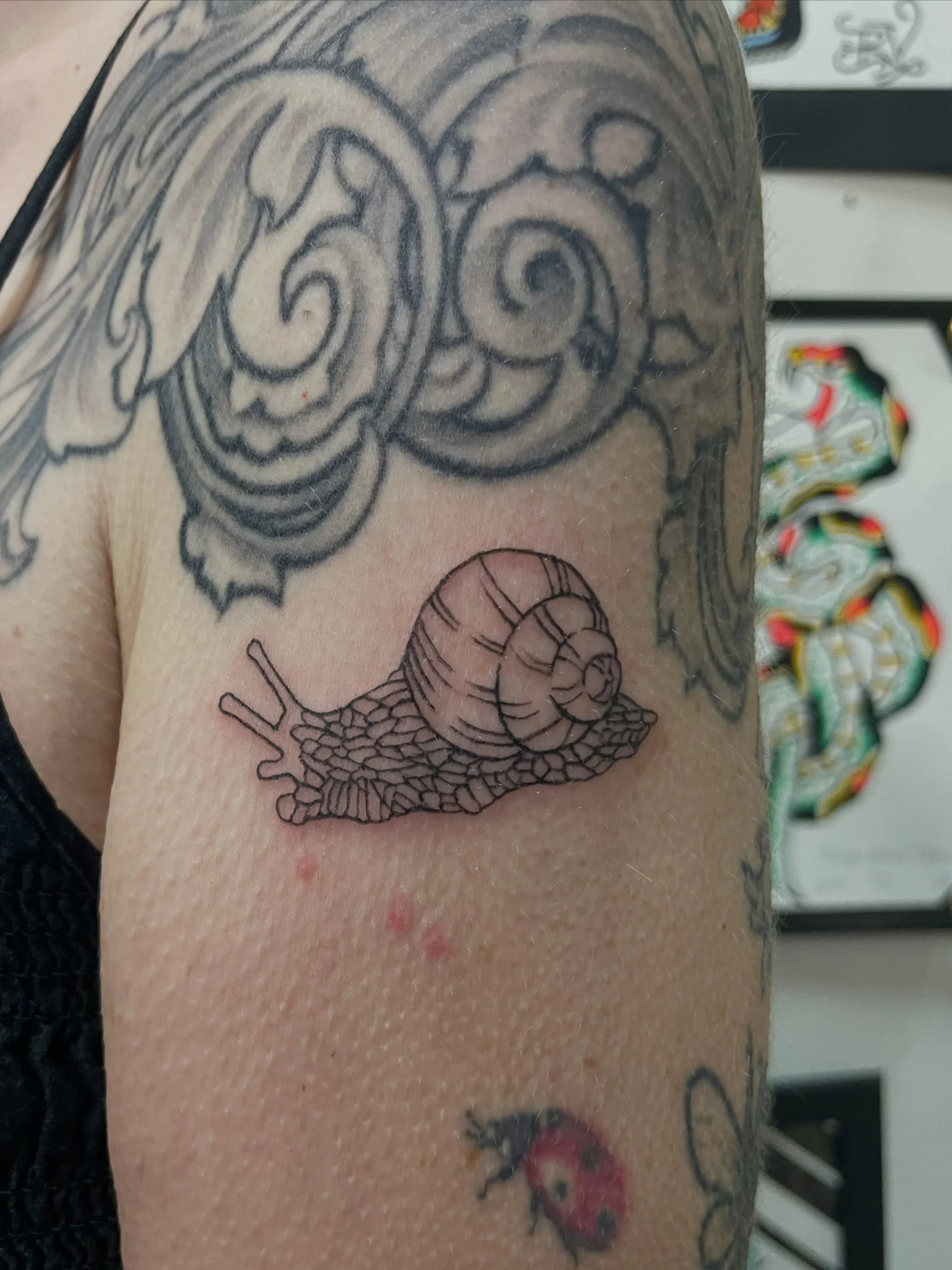 snail from my flash tattooed @tenderhearttattoo for Katie 💖💖💖 thanks again for having me Norfolk, id love to come back for more tattoos!! it was so fun visiting. thanks Katie 😊💖
.
.
.
#norfolktattoo #traveltattoo #finelinetattoo #snailtattoo #il