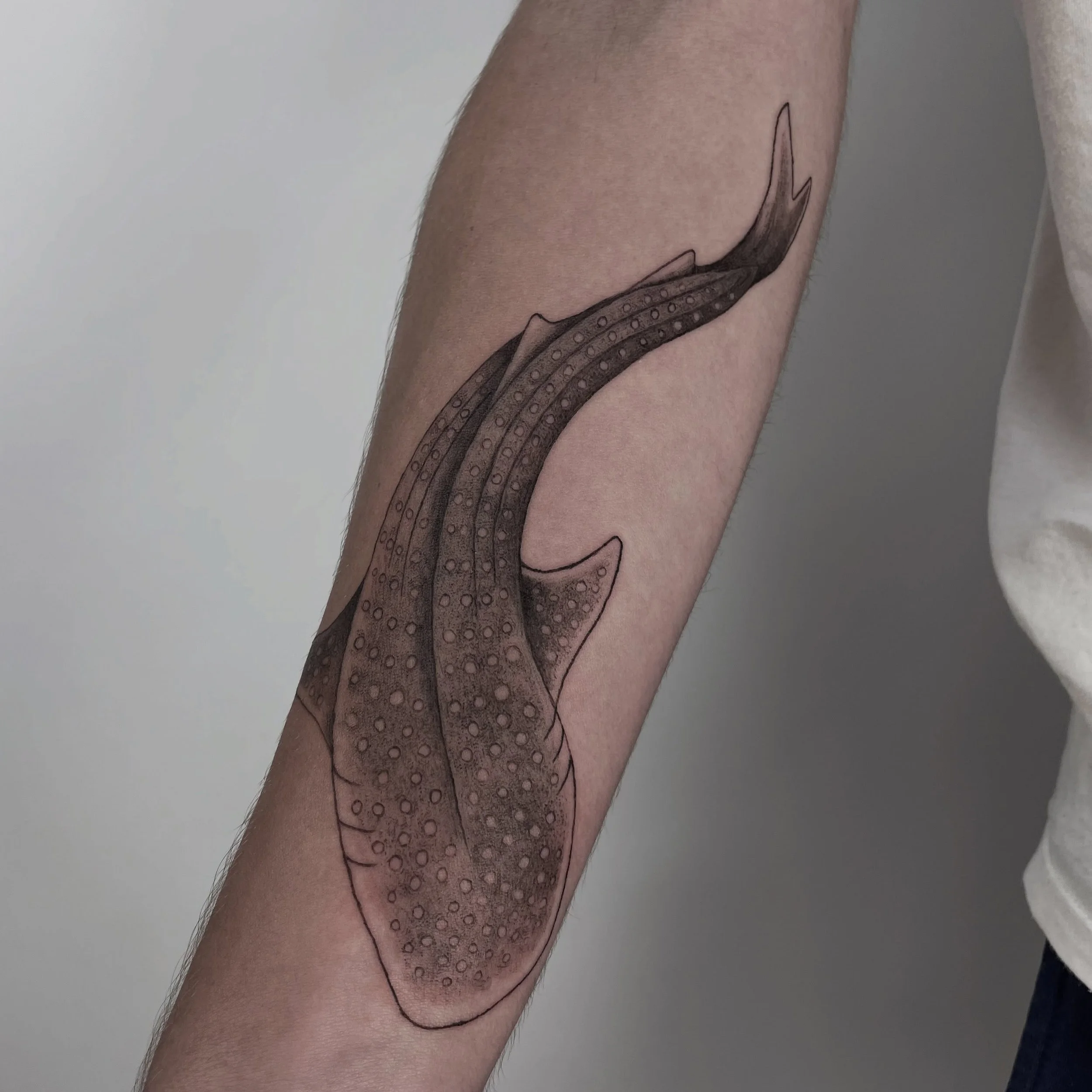 ✨whale shark✨ thank you Mason! 
.
.
.
#sharktattoo #finelinetattoos #milwaukeetattooartist #wisconsintattooartist #blackandgreytattoo