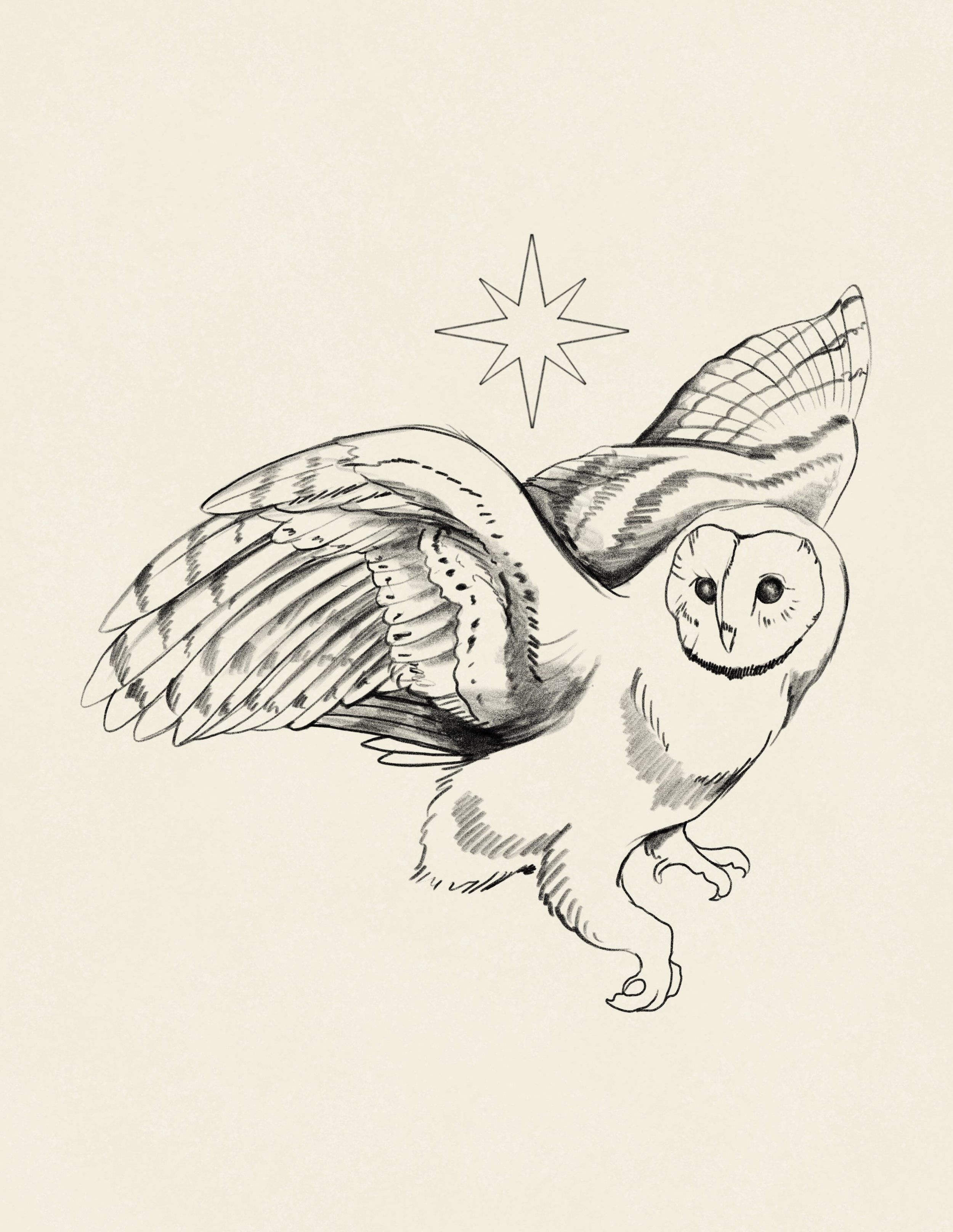 #mdwc26d4 ✨OWL✨
.
.
.
#drawlloween #inktober #illustration #owl