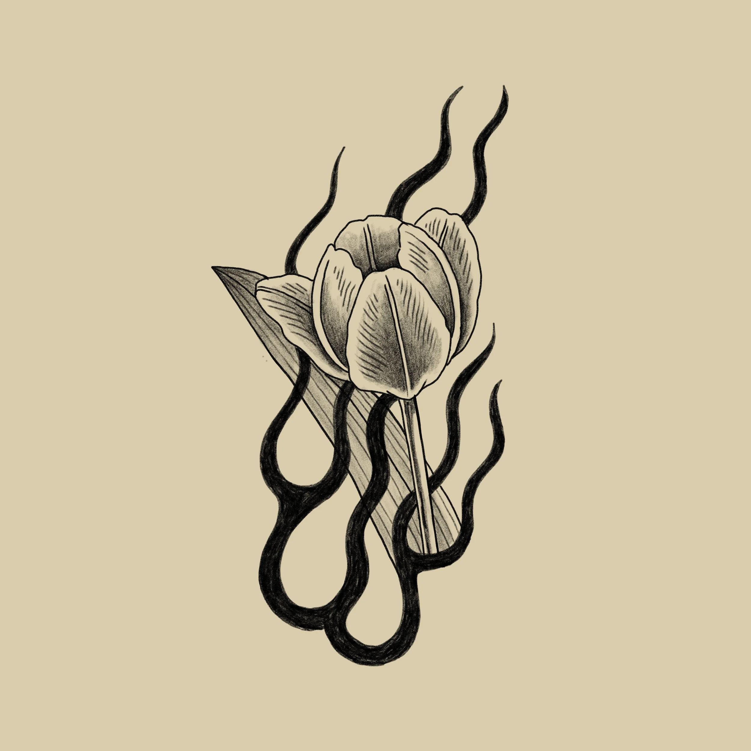 flame tulip copy.jpg