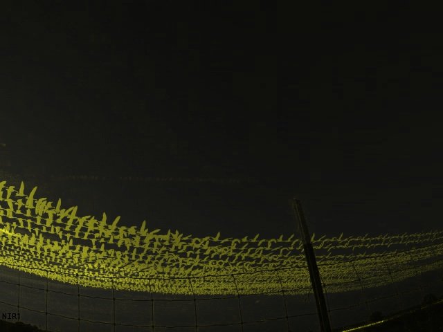 NIR1_20231004_074500_8A35_Summary.jpg