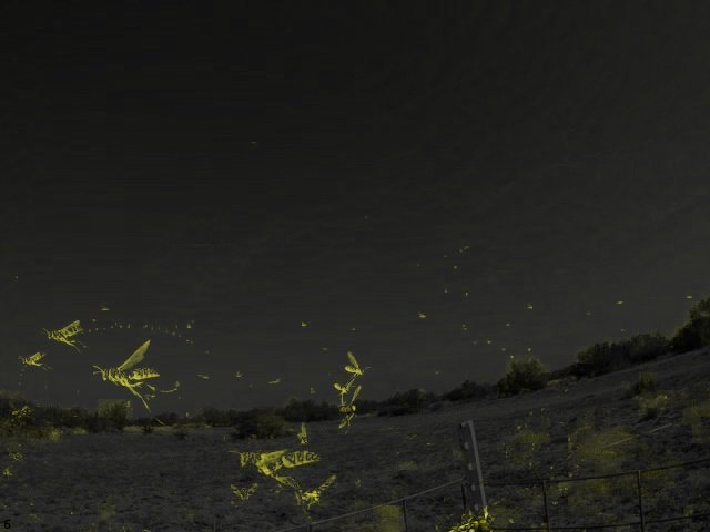 Camera_6_20220712_093621_A57B_Summary.jpg