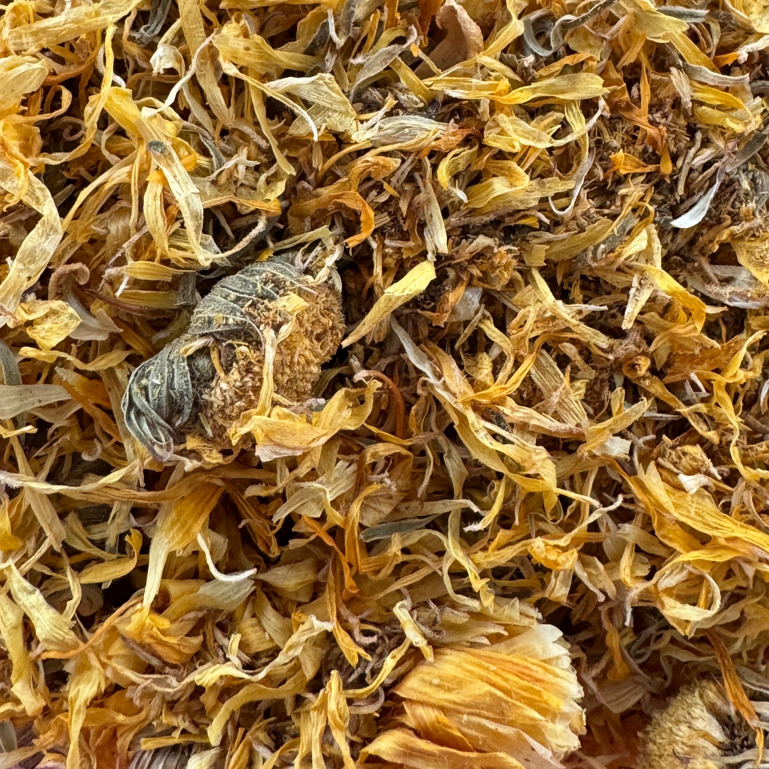 calendula+bulk.jpg