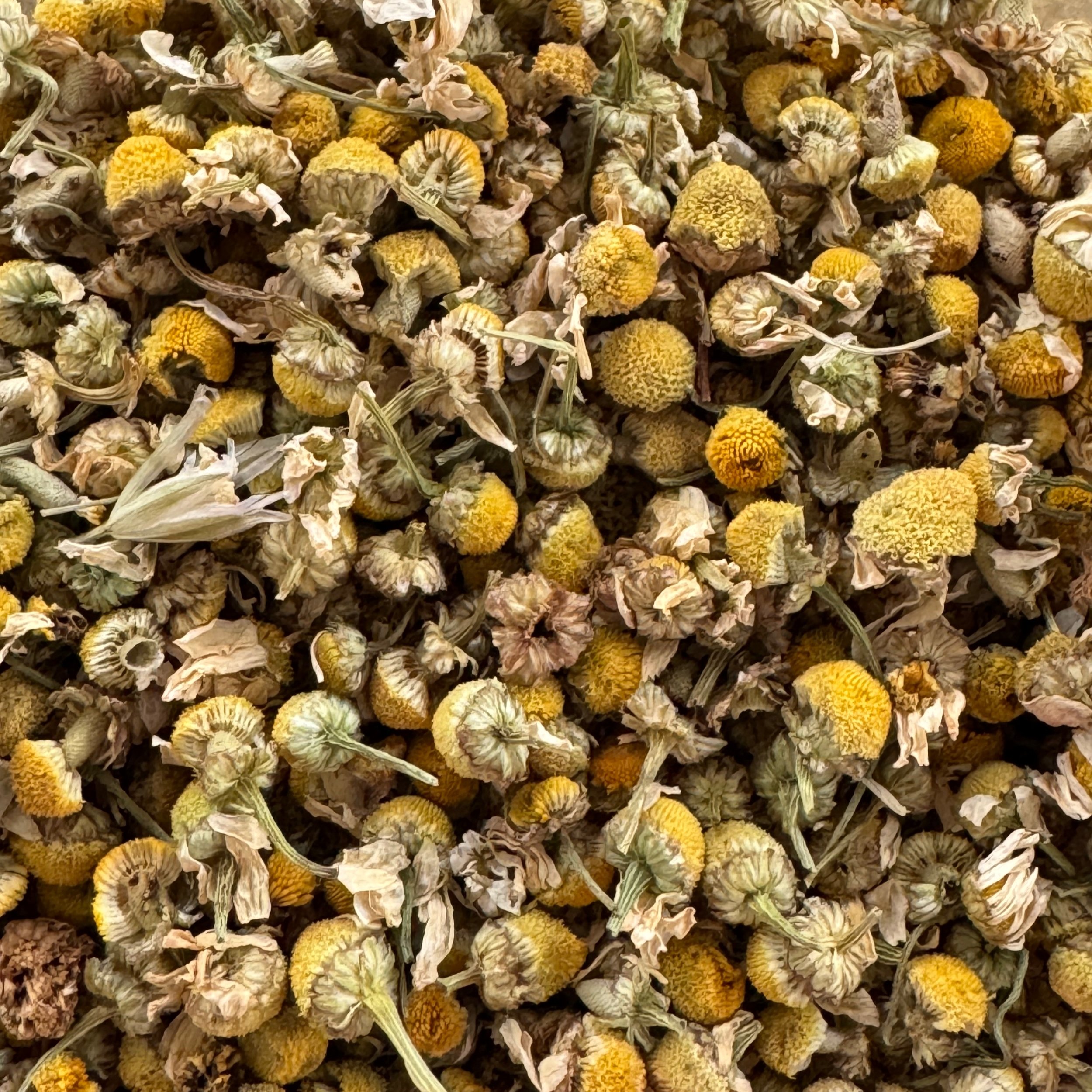 chamomile+bulk.jpg