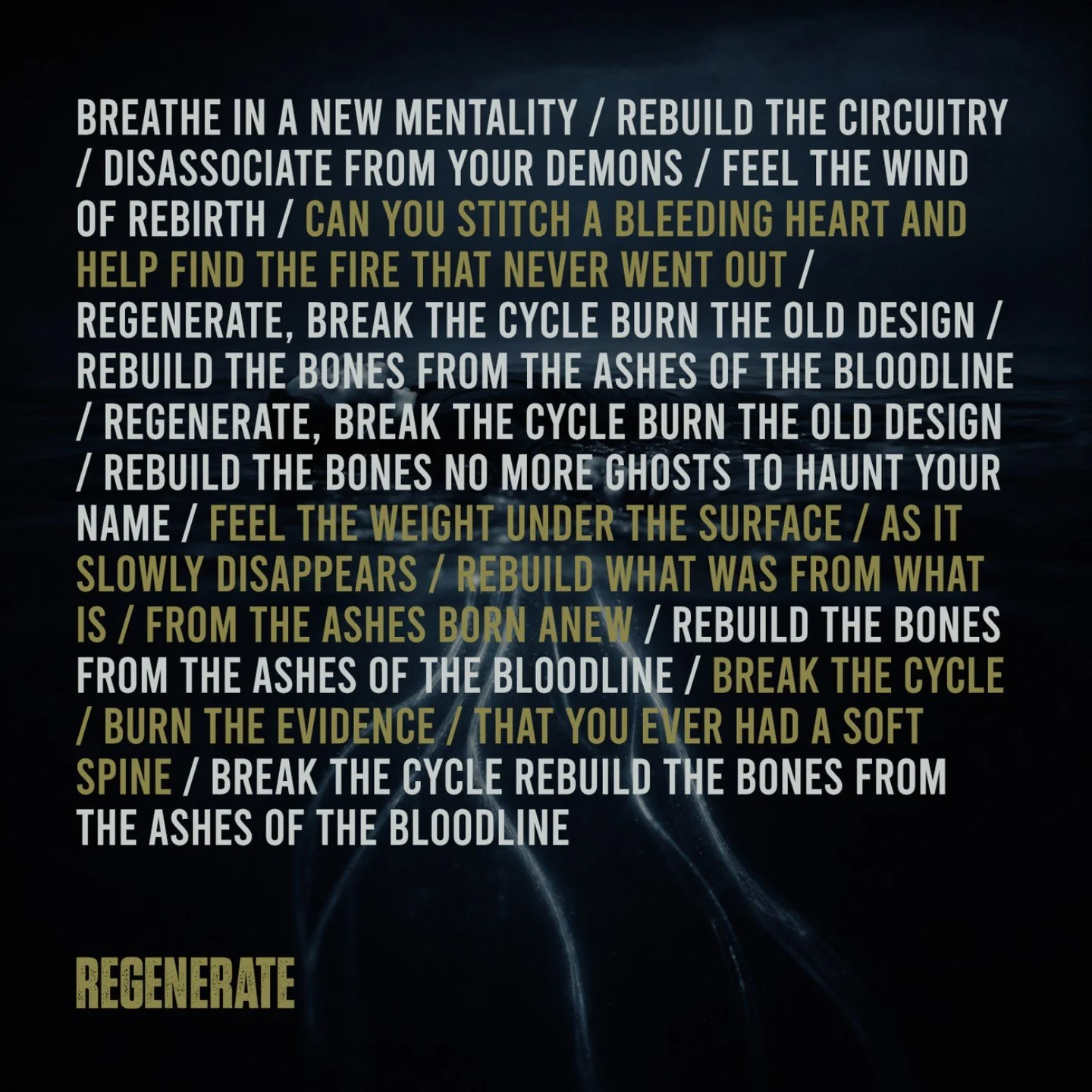 'Regenerate' is the second track on the EP, serving as a response to 'Shadowbox.' While 'Shadowbox' explores deep grief, 'Regenerate' focuses on recovery and moving forward. I've realized that the most difficult person to forgive isn't others, but yo