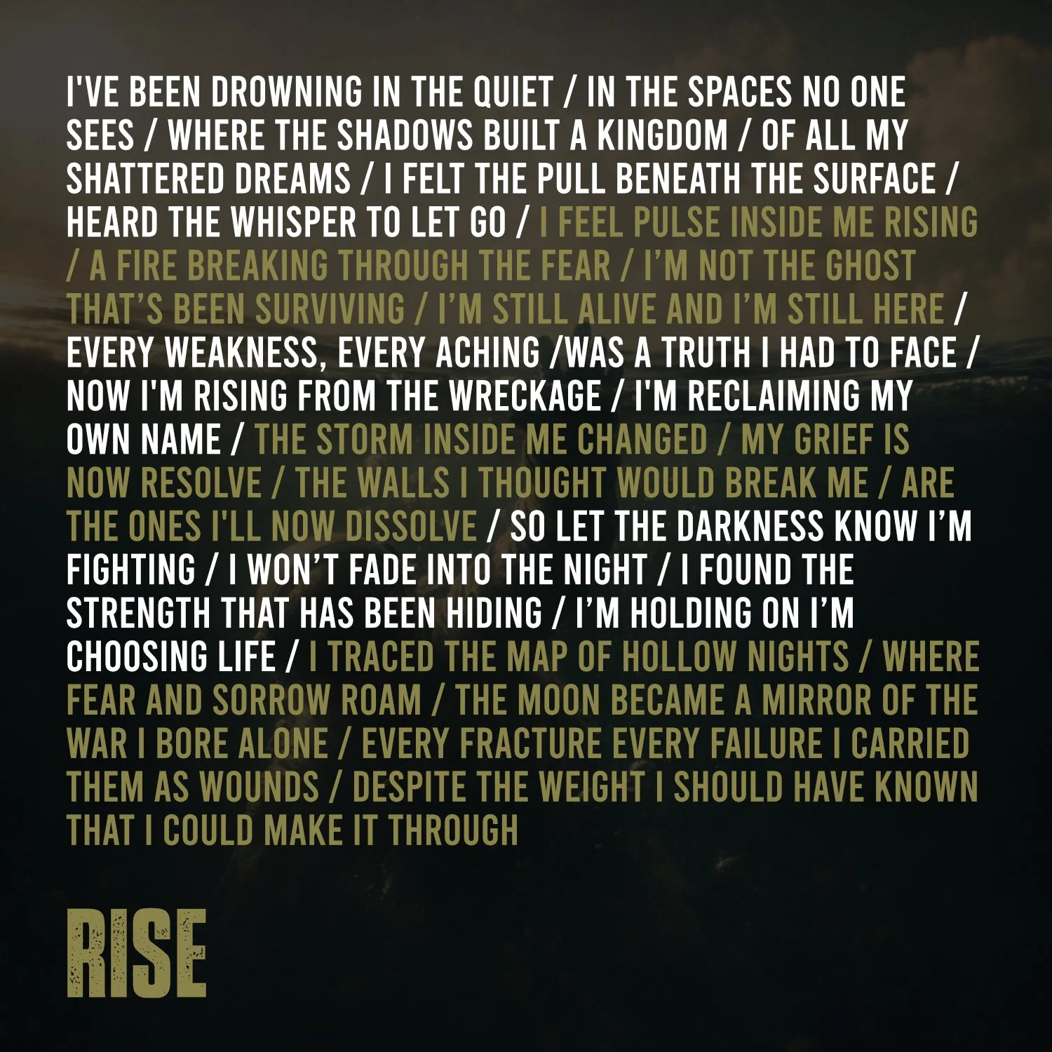 Rise 2.4.jpg