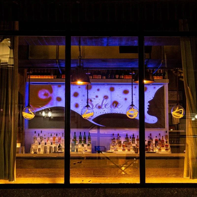 66c36e19b8615b2d87d75f65_Selene 5.jpg