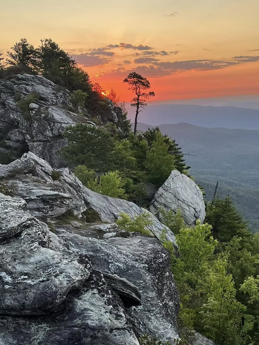 Guided Forest Experiences with Ancient Forest Retreats