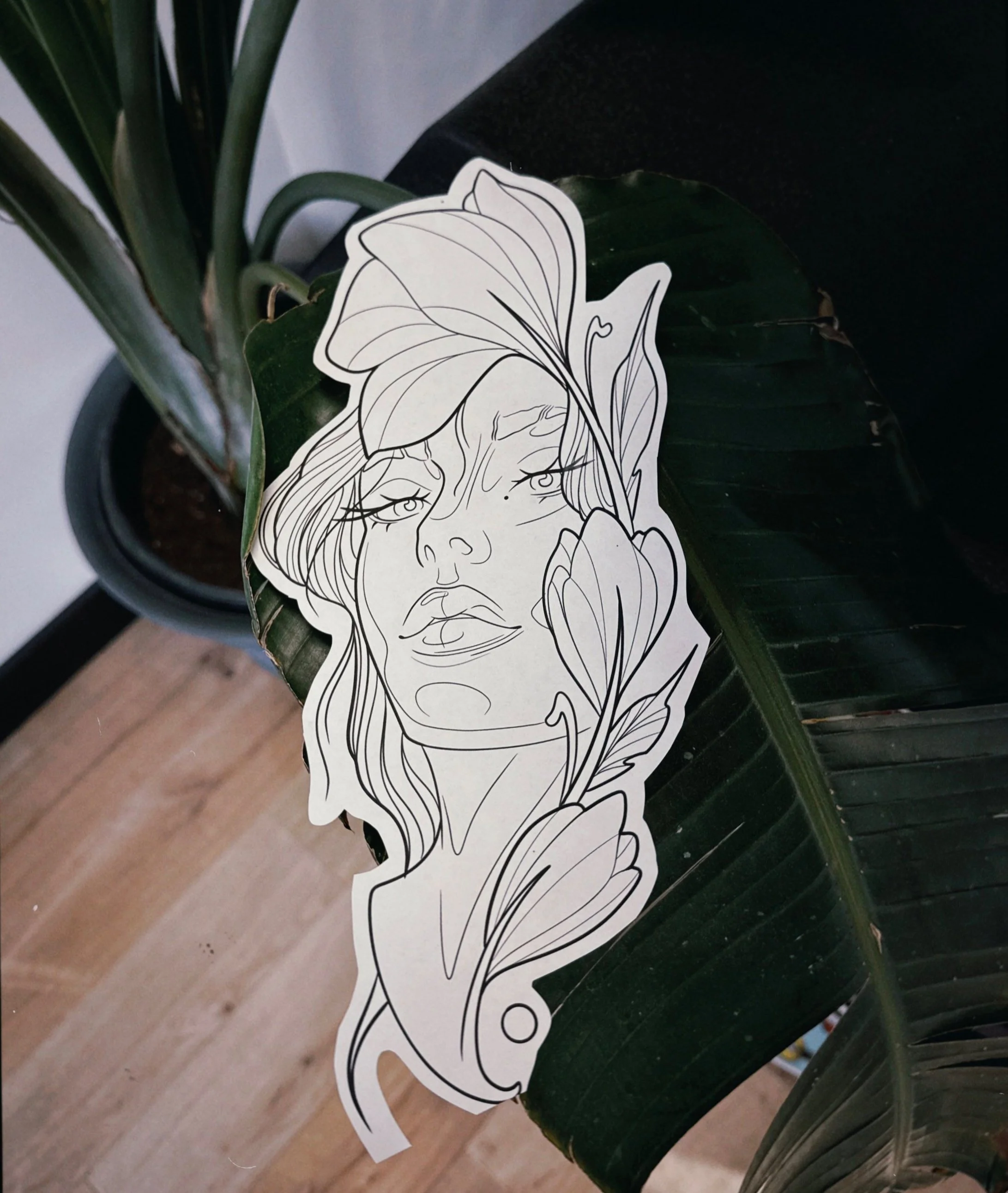 s67 2025-06-06 165535.250.jpg