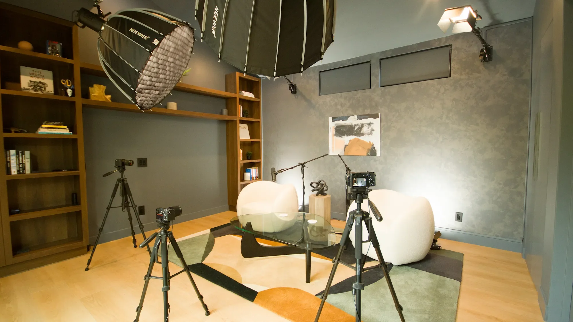 Dark Studio at Venice Podcast Studio showing professional softbox lighting, built-in bookshelf, and video production equipment in Los Angeles