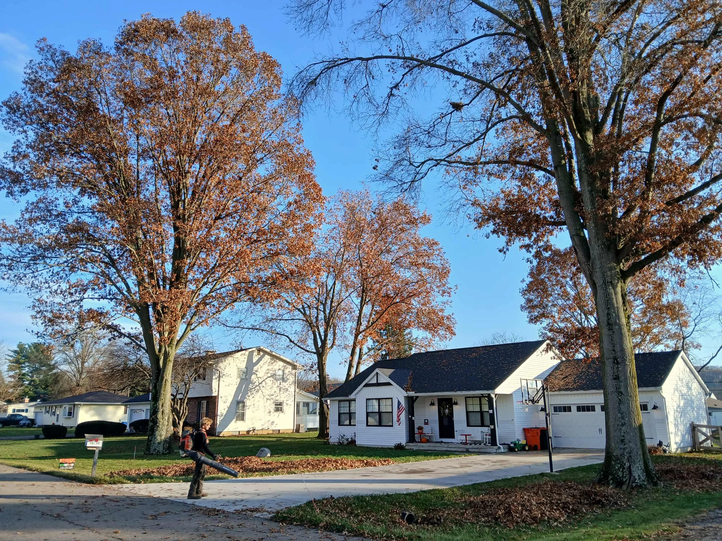 An employee is blowing leaves in front of a home after a full day of pruning oaks in Newark, Ohio.