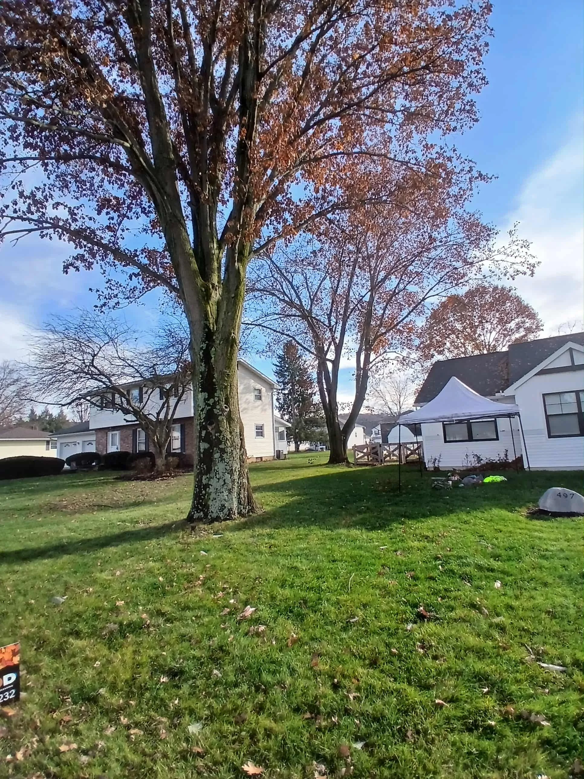 A front yard with green grass, a large tree with fall-colored leaves, and houses in the background. There is a white tent and a few objects on the lawn.