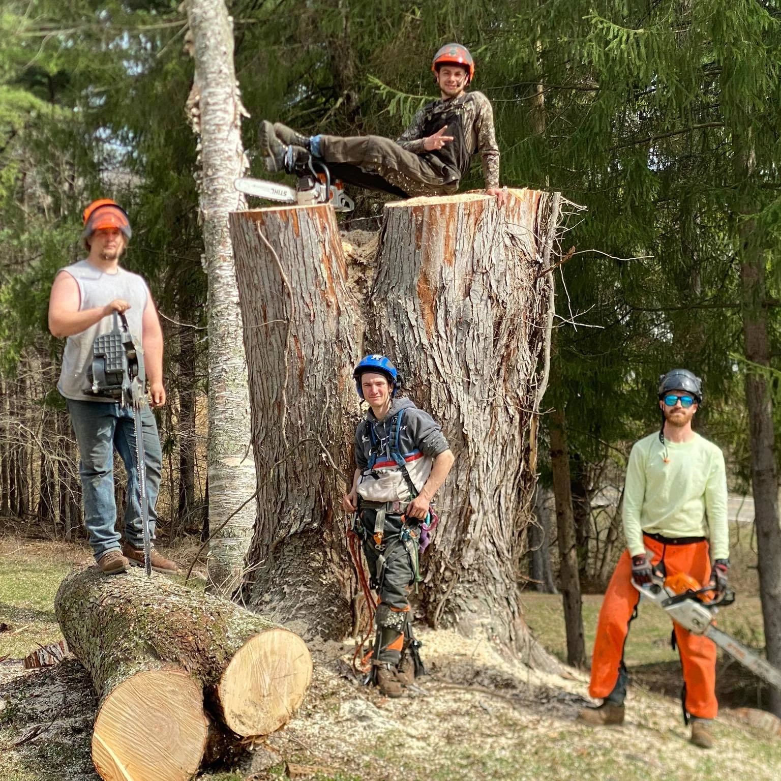 Four men in safety helmets and outdoor gear posing around a large fallen tree and a tree stump in a forest, with one man sitting on a tree stump, two men standing, and one sitting on a tree branch.