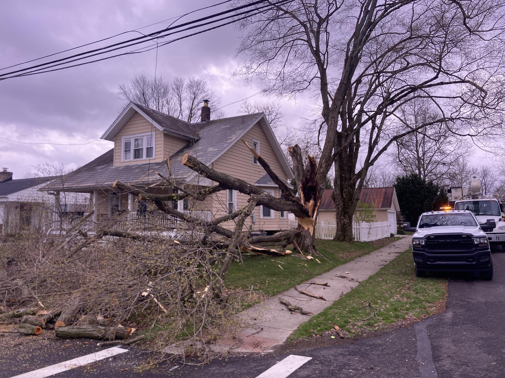 A large maple tree has fallen next to a house, causing damage to electrical lines and the front yard. Debris is scattered on the sidewalk and street, with a damaged tree trunk and broken branches visible in Pataskala, Ohio.