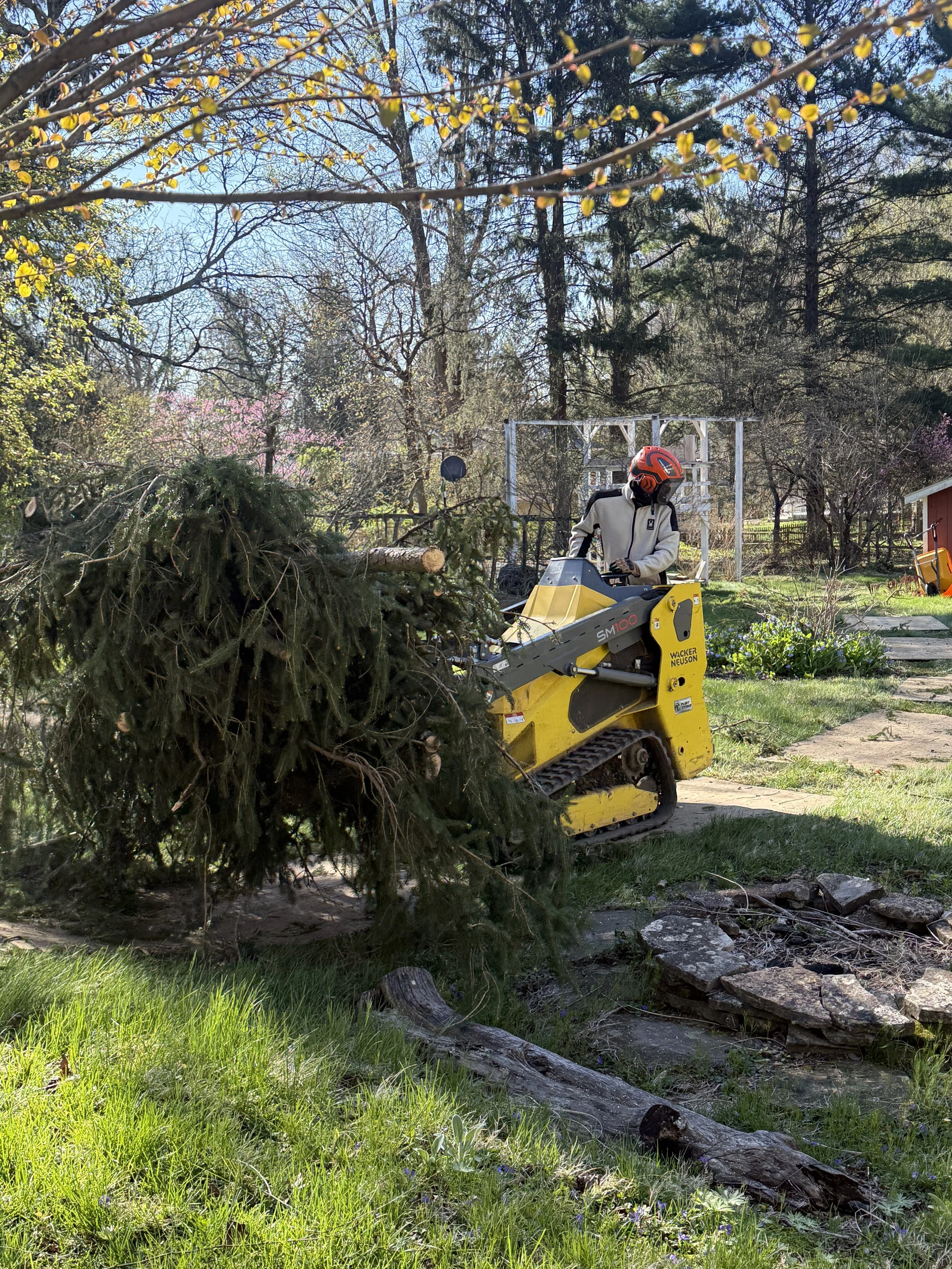 Person using a yellow wood chipper to process tree branches in a backyard garden, with trees and a fence in the background.