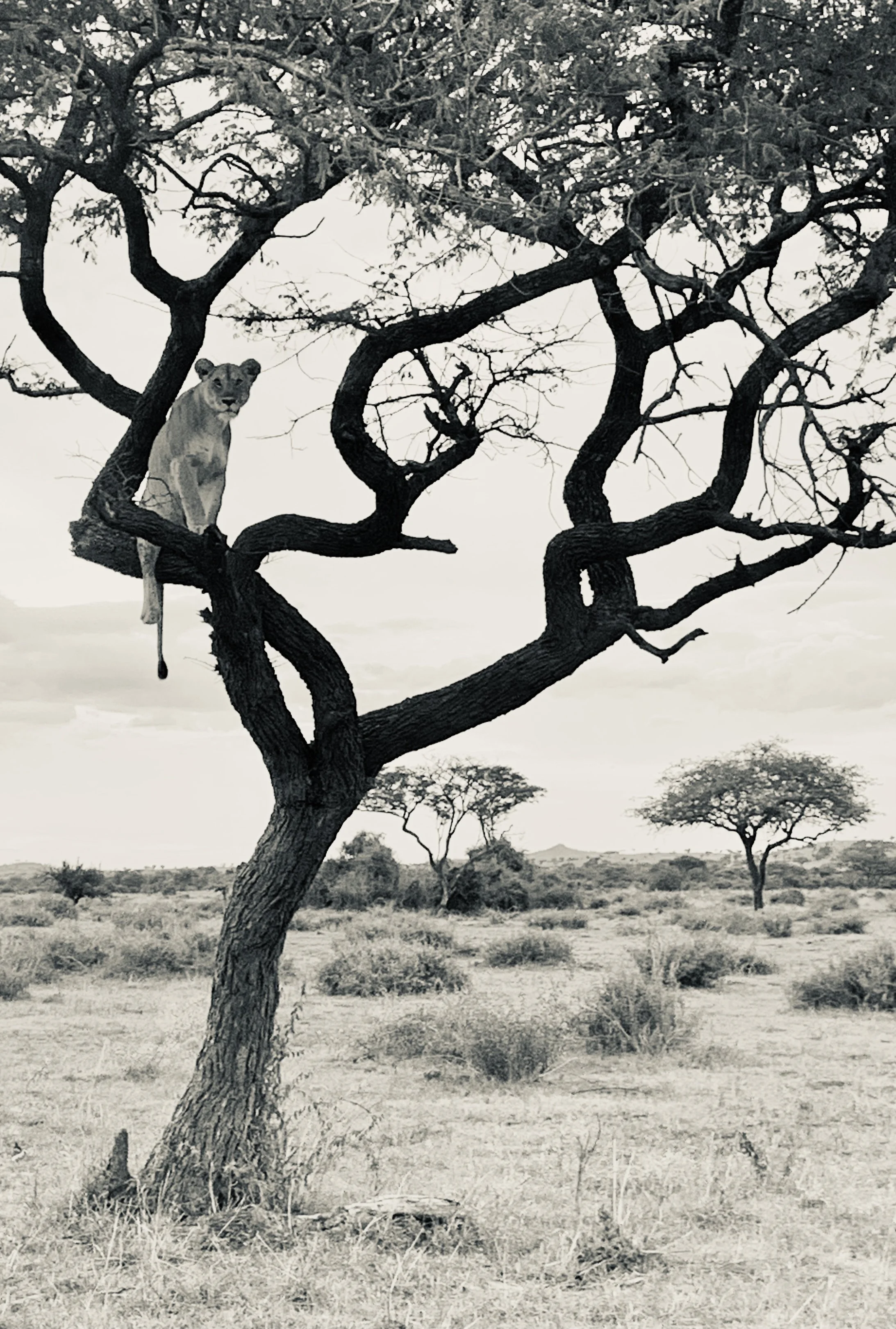 Your Maven Self > Executive Presence